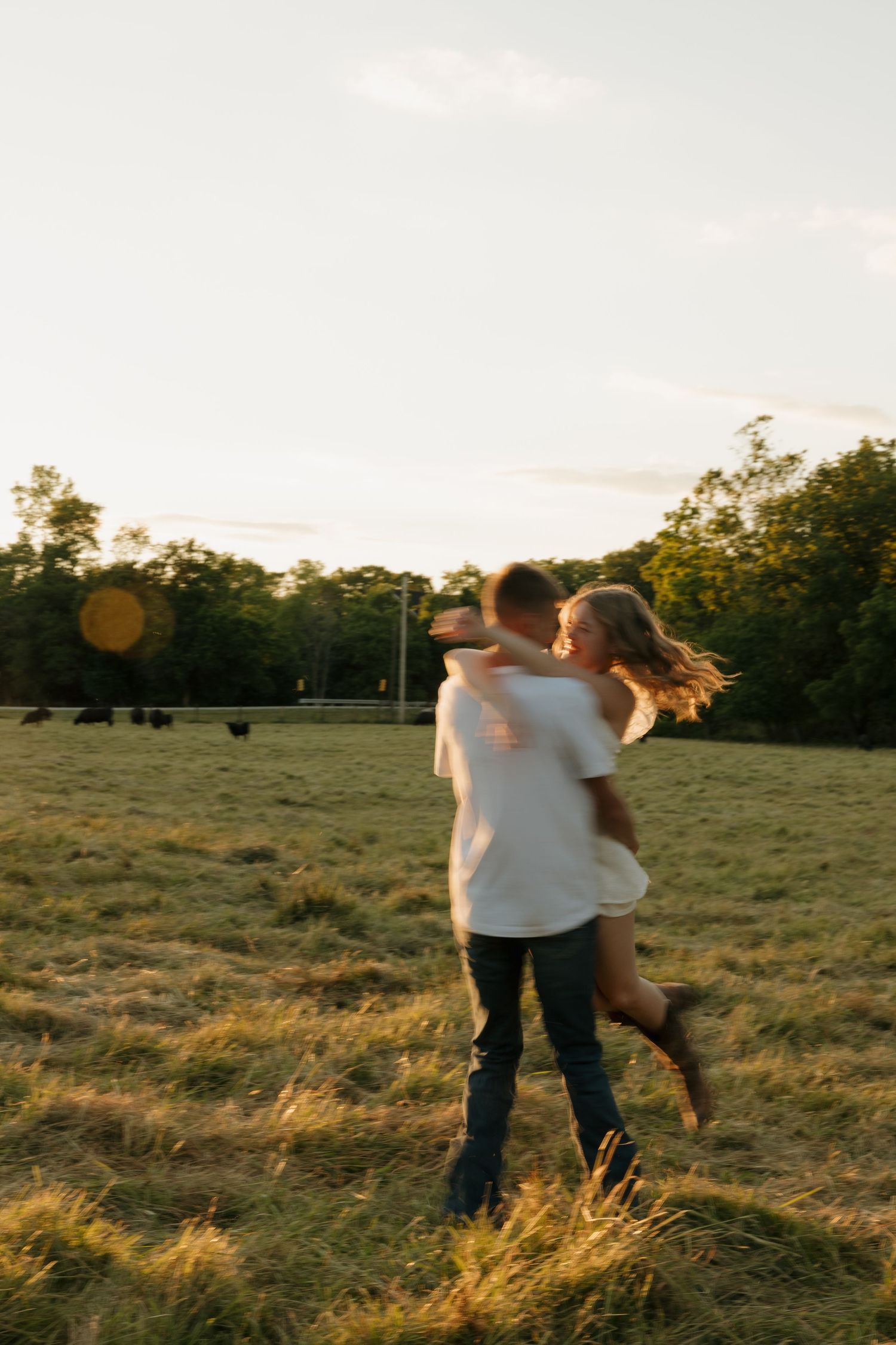 Couple embracing and spinning in a golden sunlit field at sunset, with cattle grazing and trees in the background.