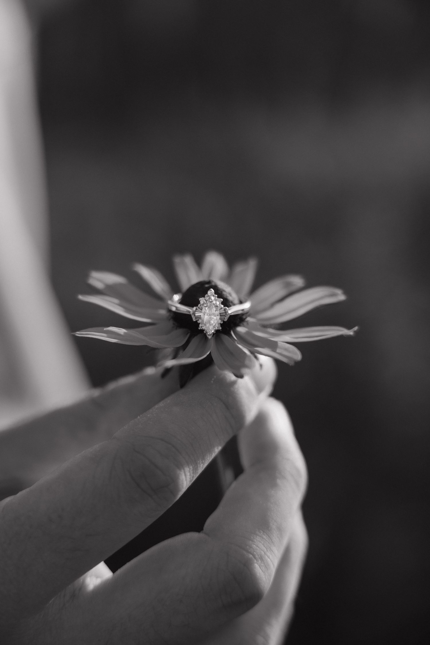 Black and white photo of hands holding a daisy flower with a diamond engagement ring placed on its center.
