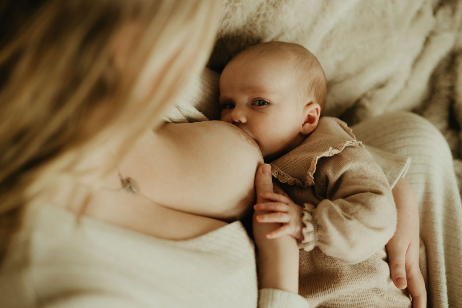 Un tendre moment d'allaitement est capturé dans des tons doux et chauds grâce à la lumière naturelle en séance lifestyle à Rabastens