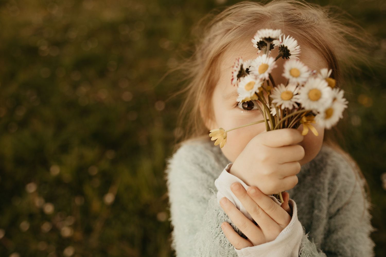 Petite fille tenant des marguerites, cachant son visage, en séance photo lifestyle à Lavaur