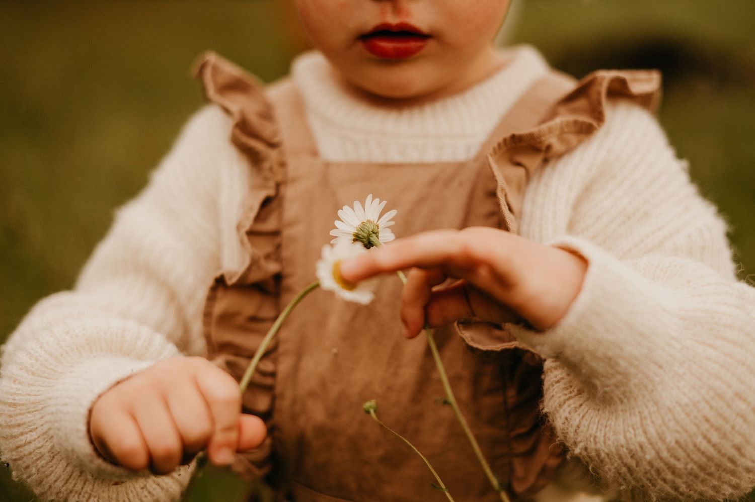 Séance famille, détail d'enfant tenant des fleurs marguerites dans des tons chauds en automne