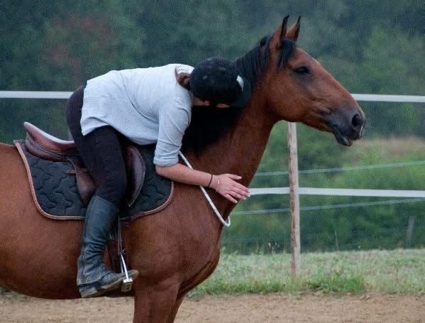 Cavalière caressant son cheval, en liberté