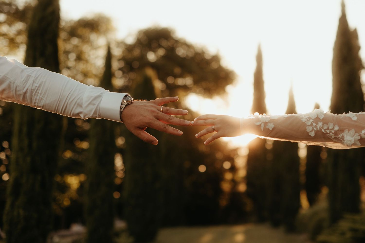 Mains des mariés se touchant du bout du doigts, mettant en évidence les alliances, avec un soleil doré en contre-jour, au milieu d'une allée