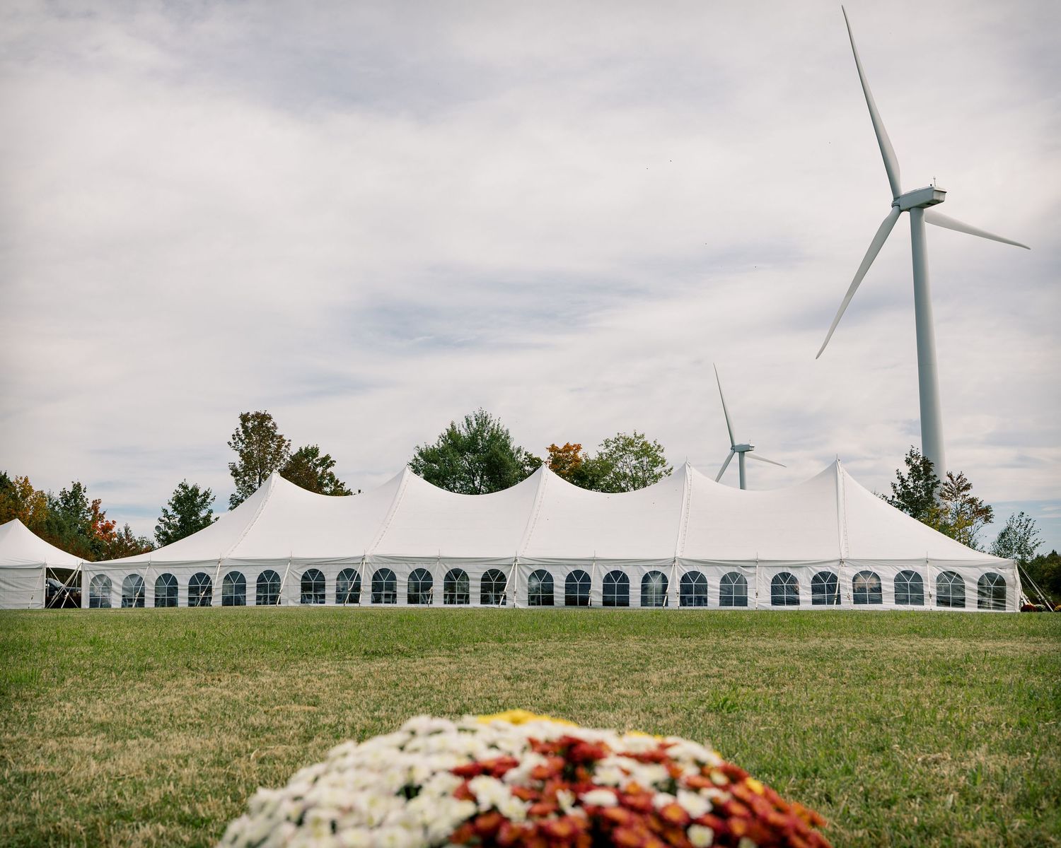 Large white event tent with arched windows on a grassy field, with a wind turbine, autumn trees and colorful mums in the foreground.