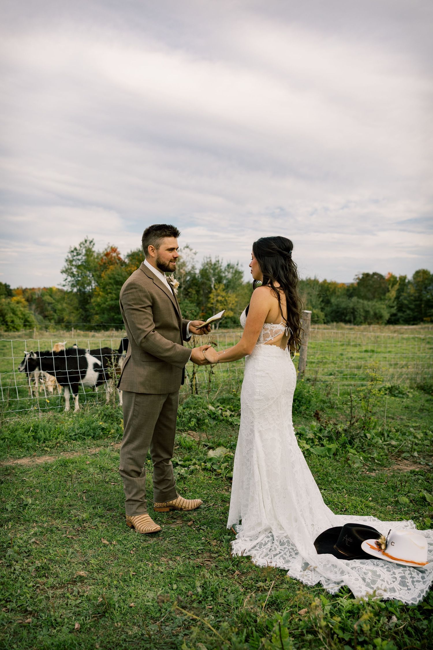 Bride in a lace wedding gown and groom in a brown suit exchange vows in a grassy farm field as cows graze behind a fence.