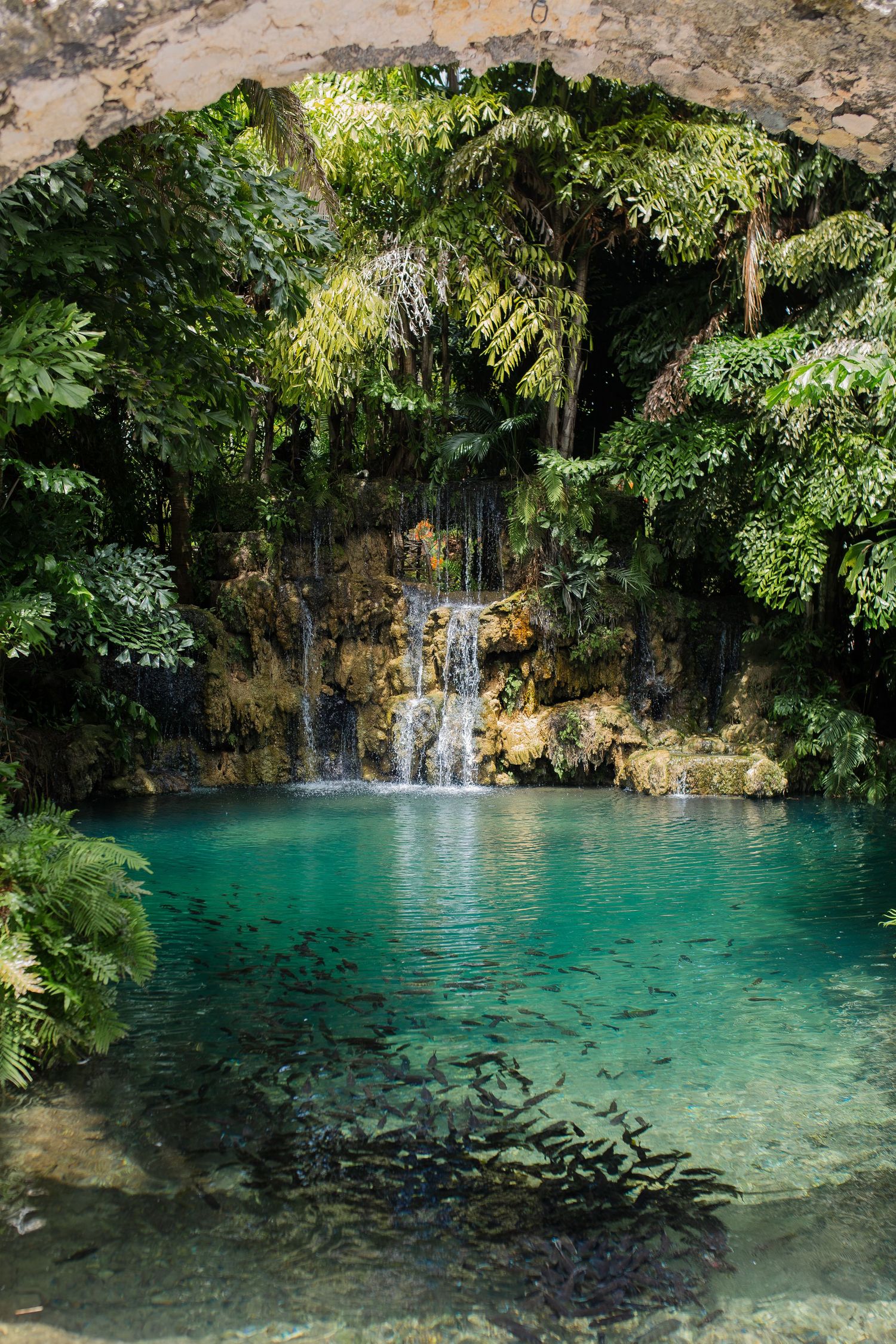 Nature photo of Miami Wedding Venue