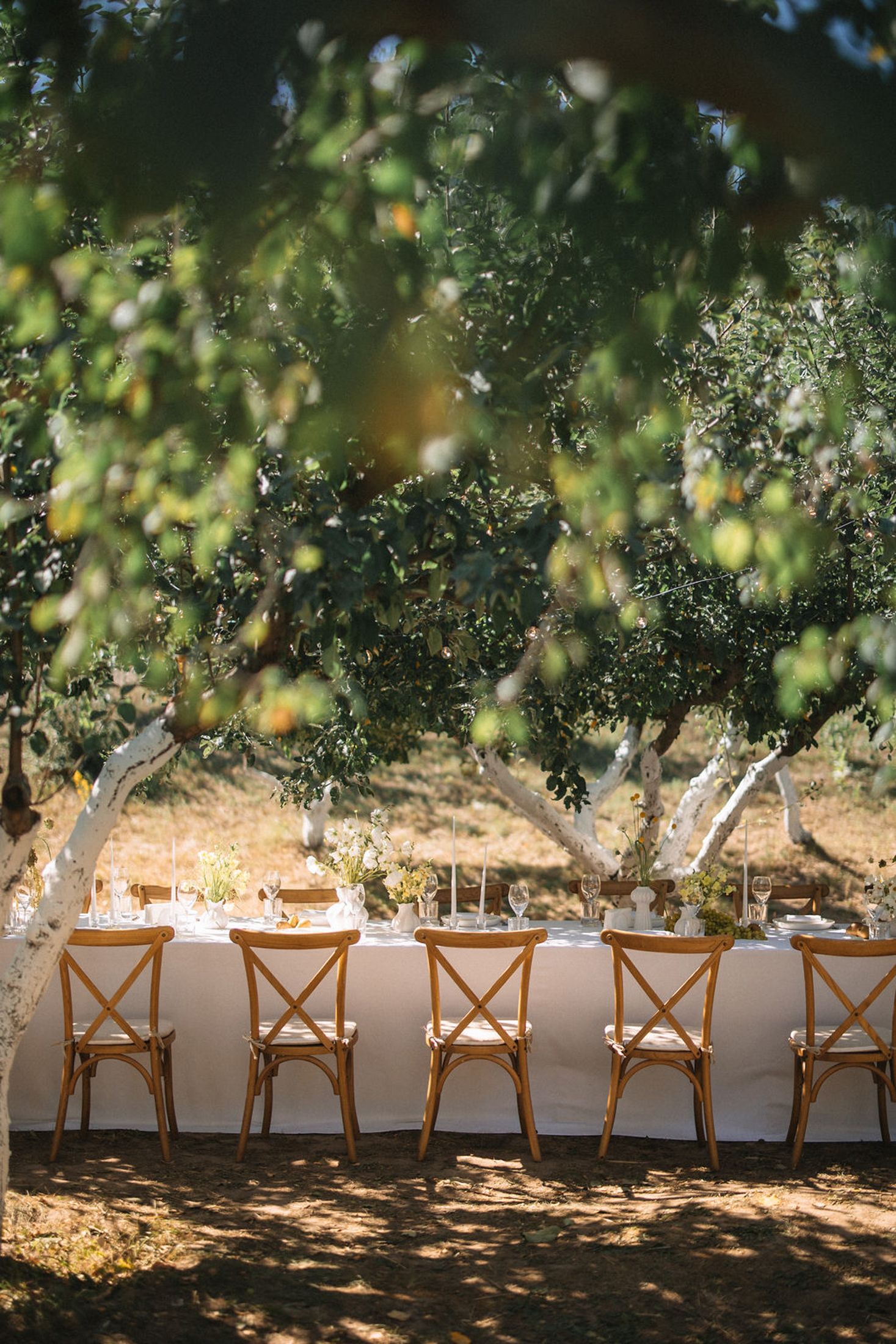 Long white dining table with wooden cross-back chairs set up outdoors under trees for an elegant garden party.