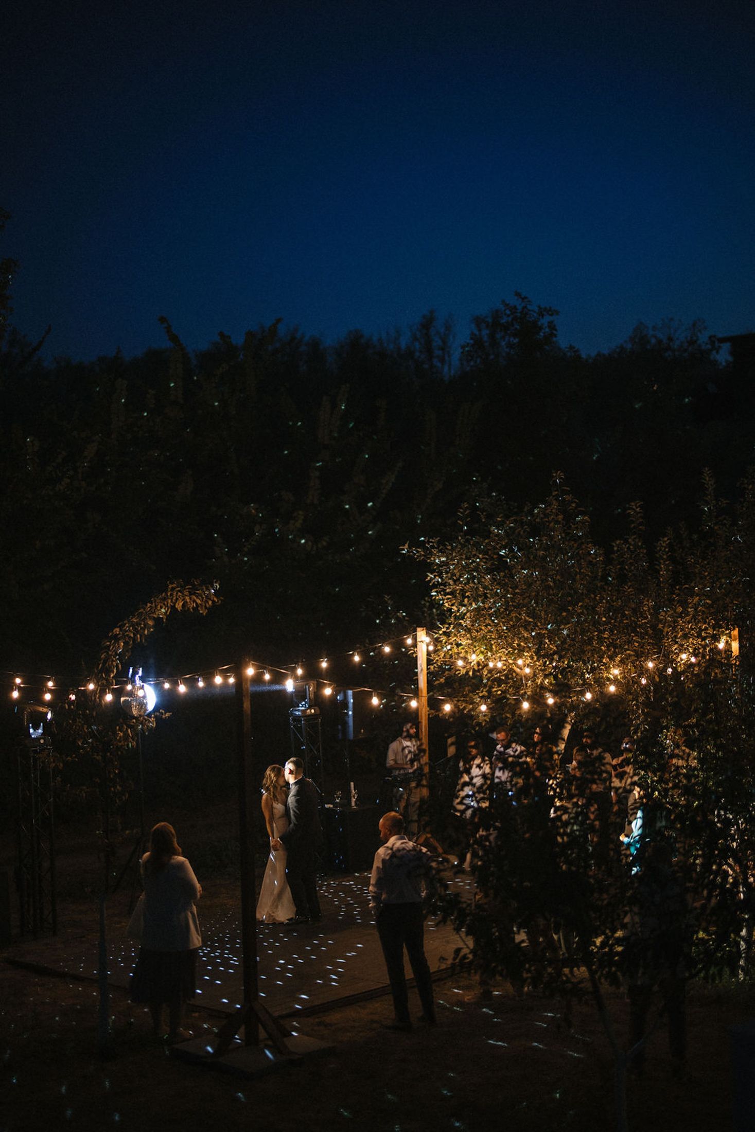 String lights illuminate a nighttime orchard gathering as people walk among the fruit trees under the dark sky.