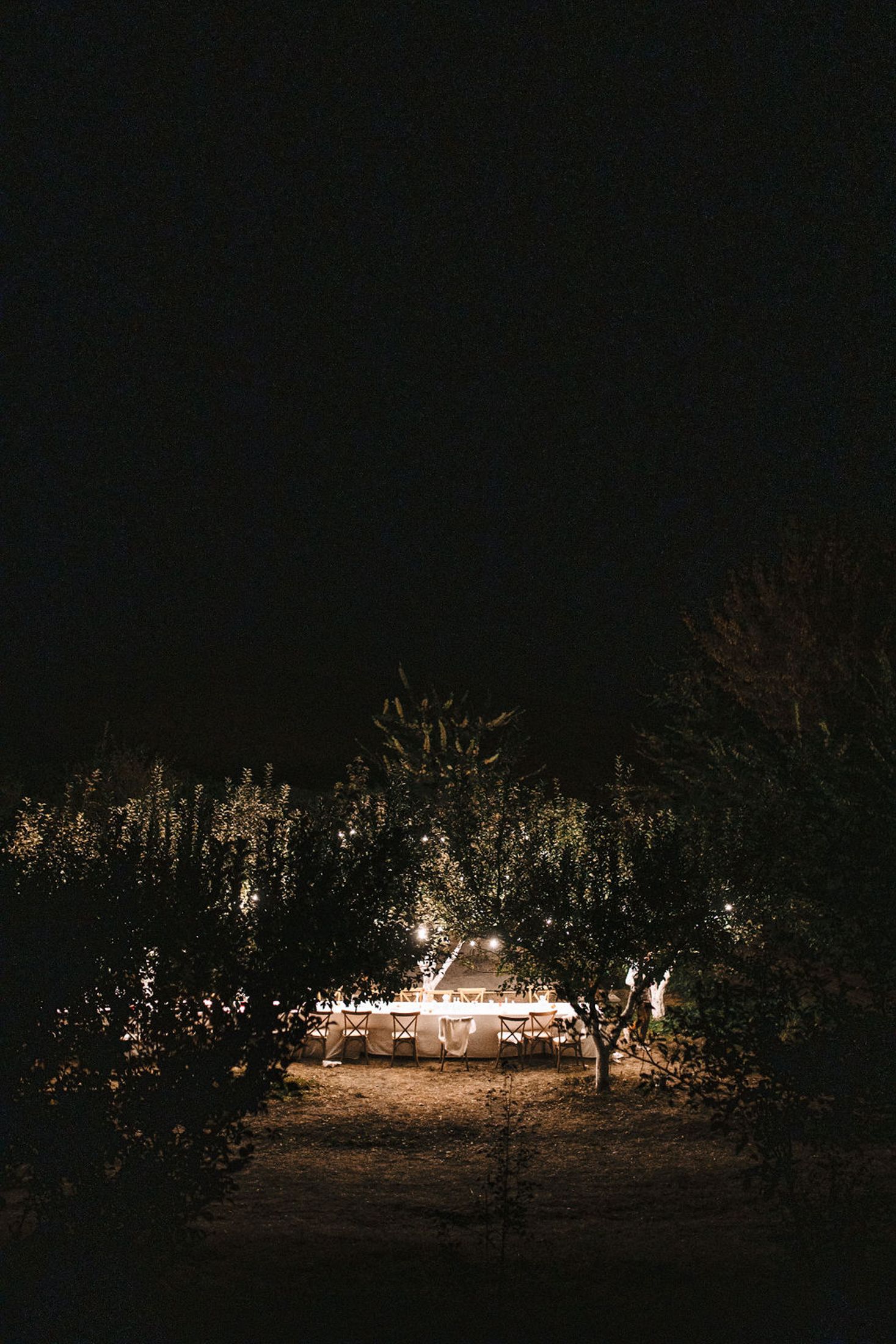 Nighttime view of trees silhouetted against warm glowing lights illuminating a dark outdoor space.