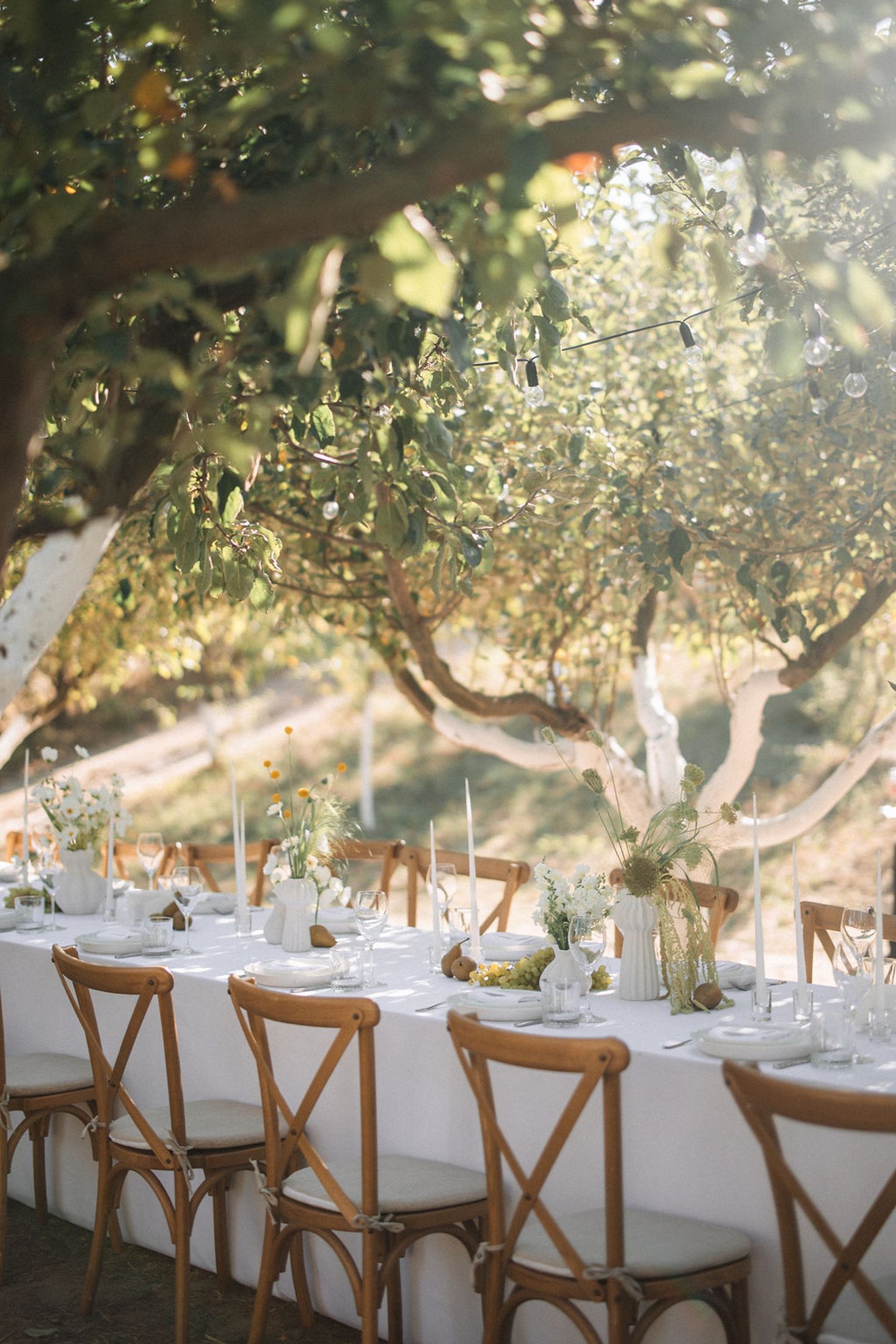 Elegant outdoor wedding reception tables with white linens and wooden cross-back chairs set beneath sunlit trees.