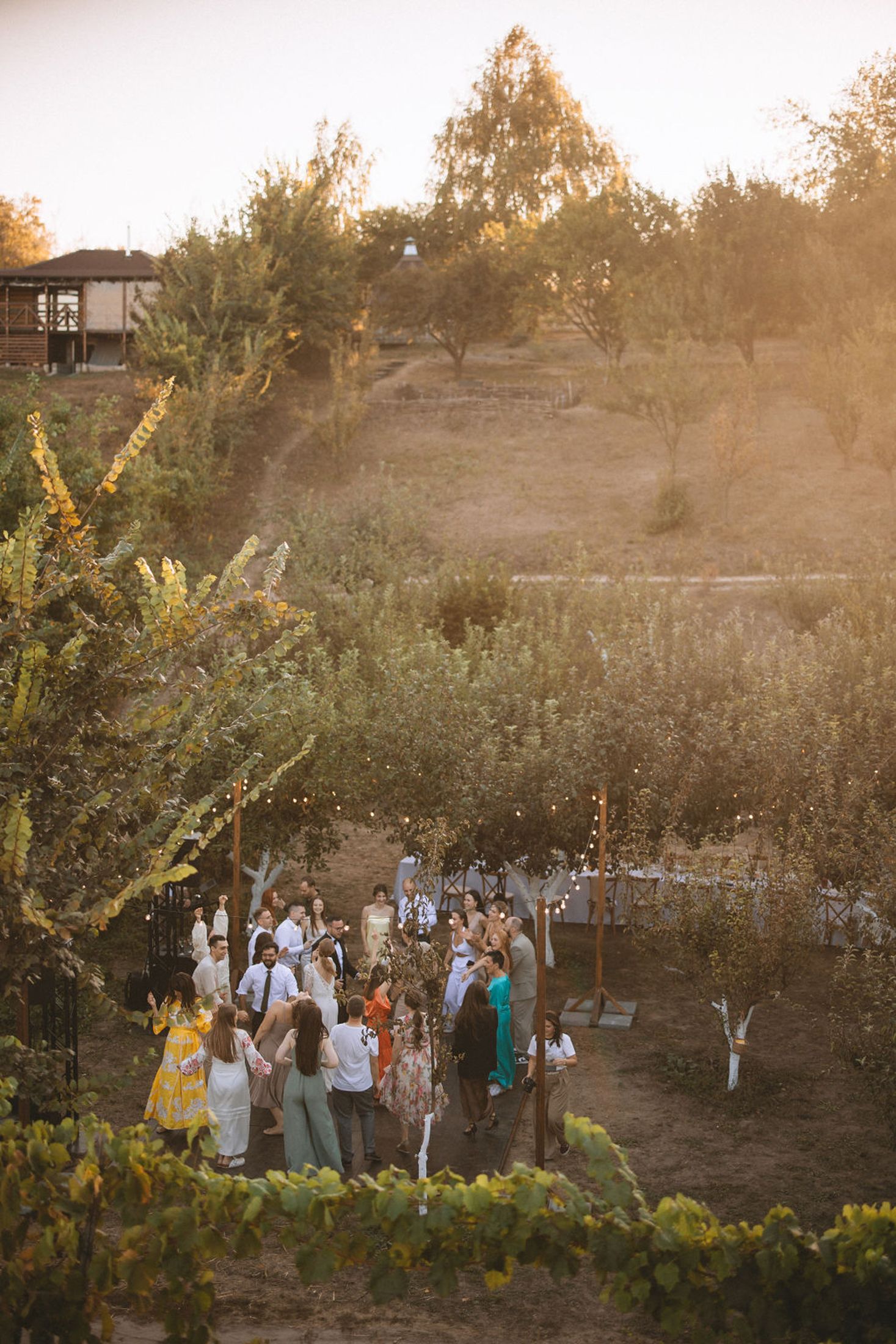 A group of people gather in a rustic orchard setting during golden hour as sunlight filters through the trees.