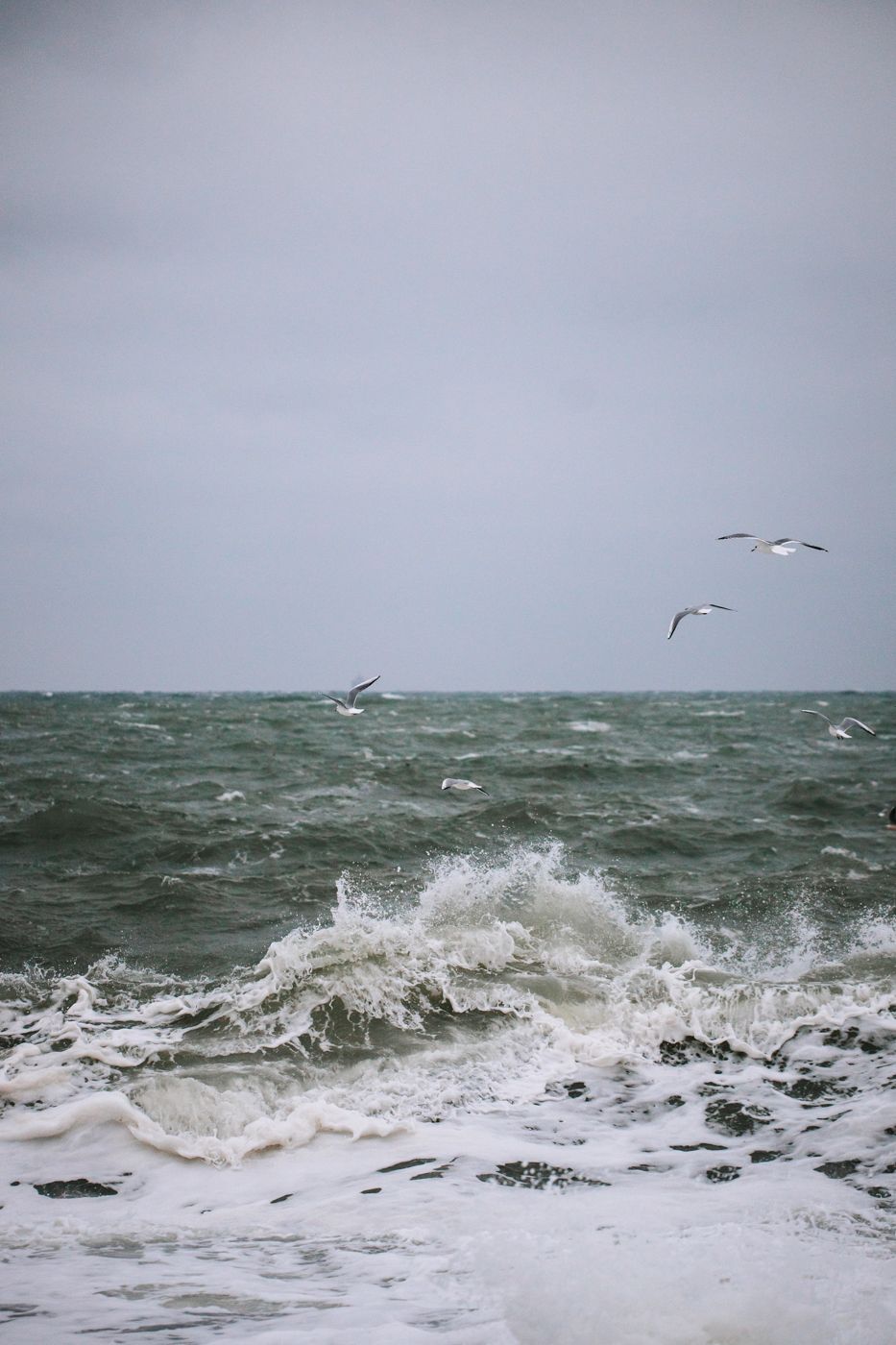 Dramatic ocean waves crash as seagulls soar above stormy seas.