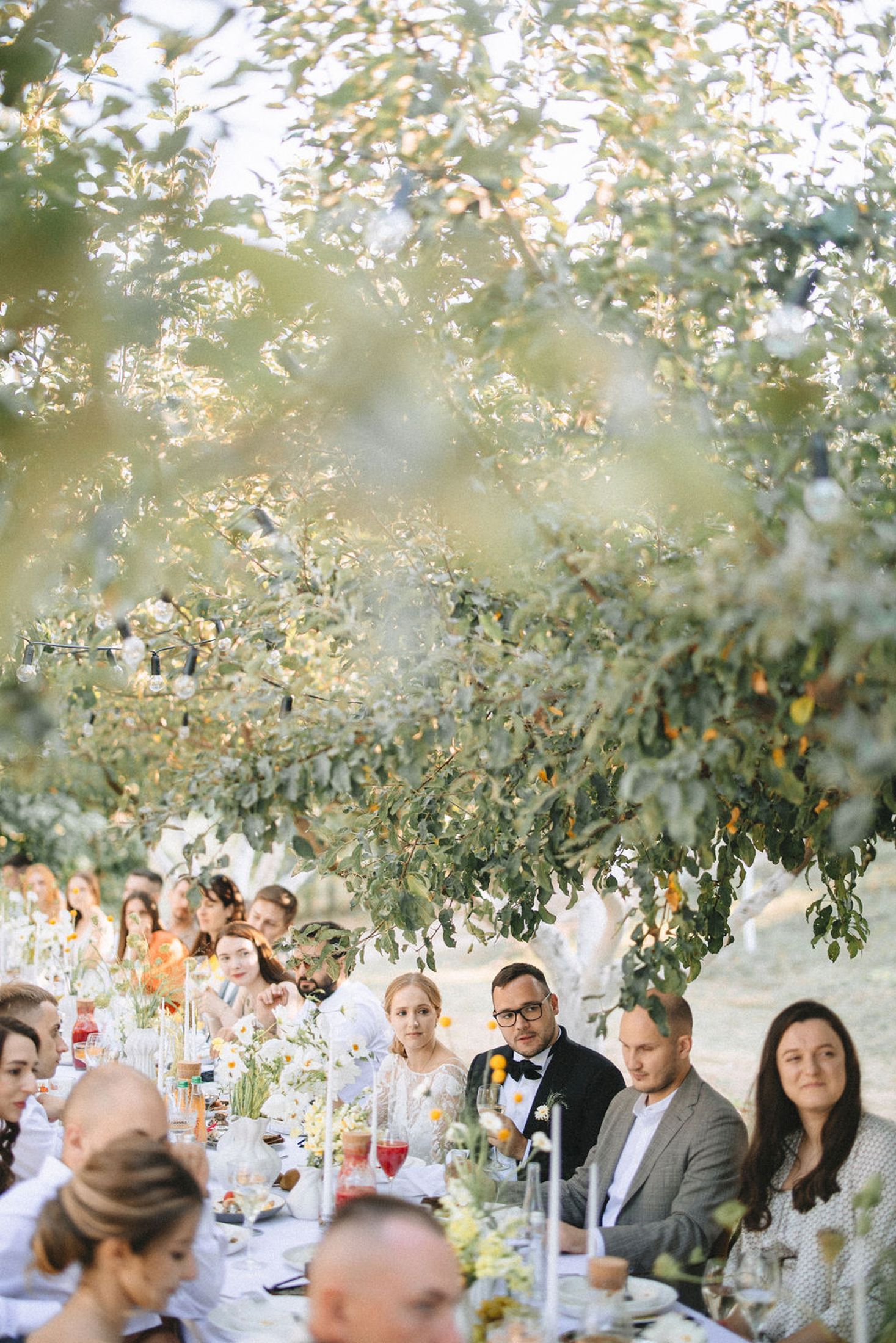 Guests seated at an elegant outdoor dinner party under trees with soft natural lighting and table decorations.