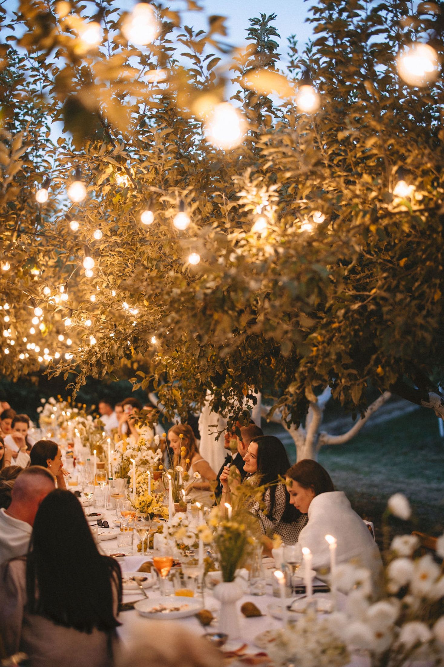 String lights illuminate an elegant outdoor dinner party with a long table set under trees at dusk.