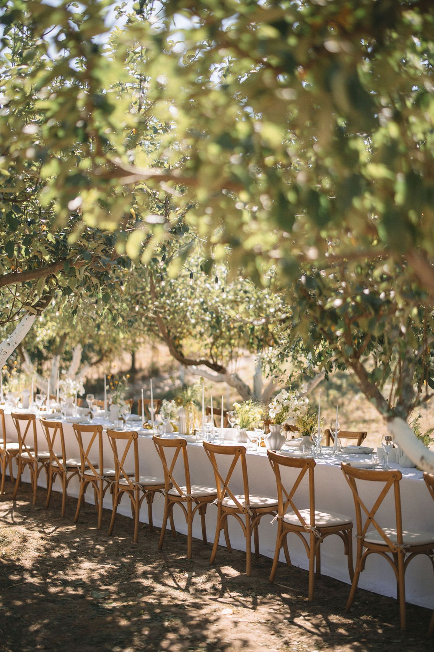 Long dining tables with wooden chairs set up outdoors under a canopy of trees for an elegant garden wedding reception.