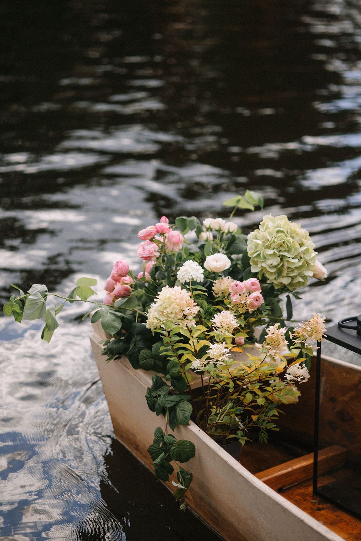 Pink and white flowers in a wooden planter box float on rippling water with reflections of sky and clouds.