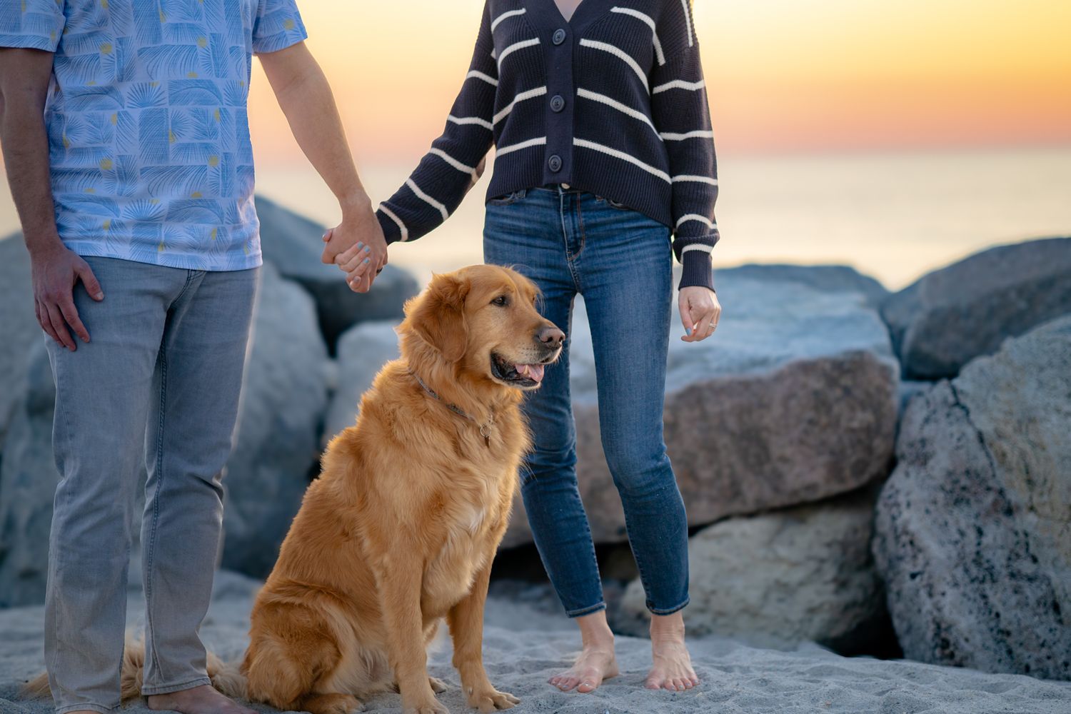 Family and golden retriever dog walking along rocky beach at sunset.