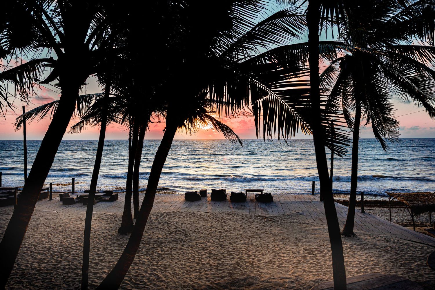 Silhouetted palm trees frame a stunning tropical beach sunset with golden sand and calm ocean waves.