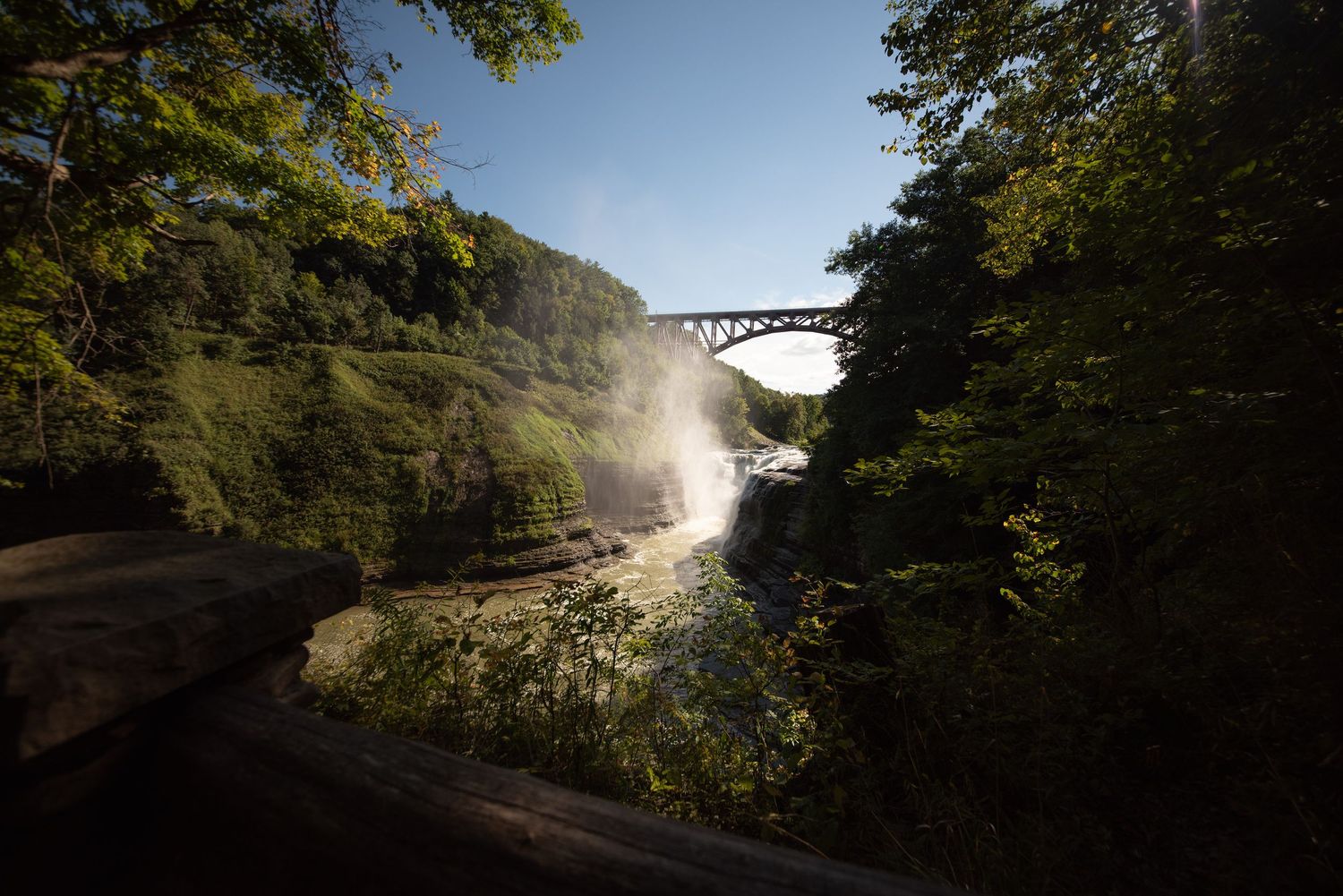 Scenic forest landscape with bridge visible through trees and sunlit mist.