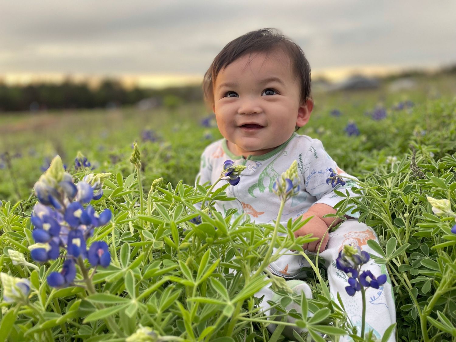 Texas photographer captures happy baby sitting among blooming bluebonnet wildflowers.