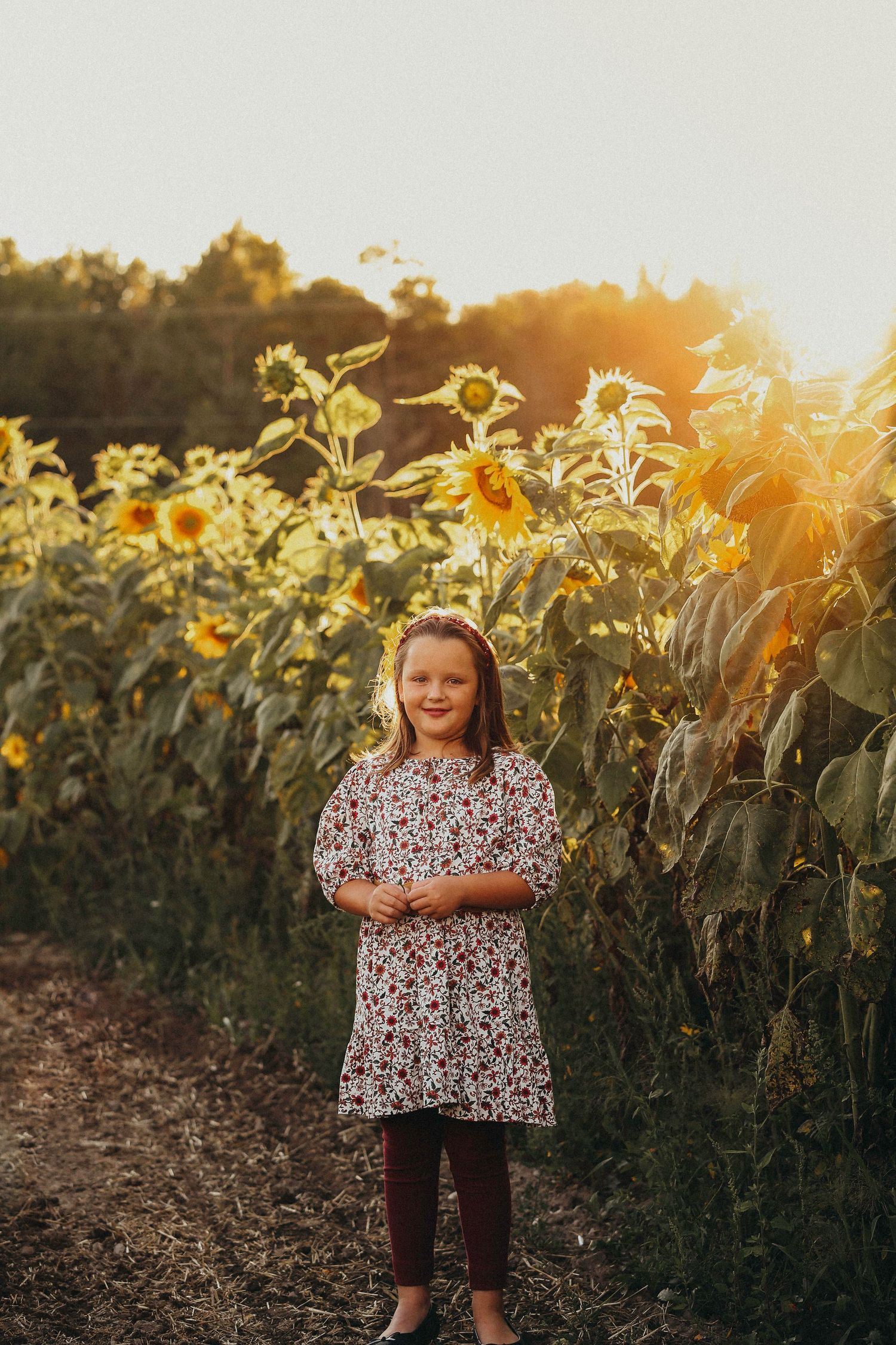 Sunflower field portrait session during sunset with warm golden lighting.