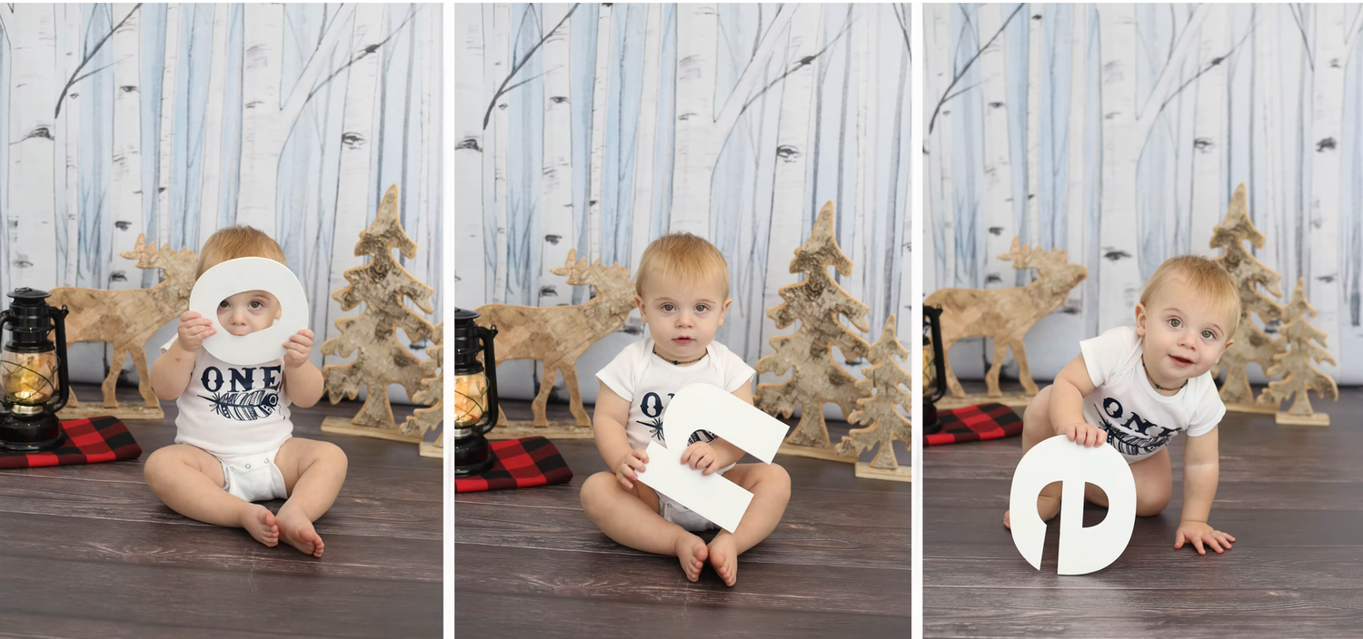 Winter themed photo setup with white birch trees and rustic decor.