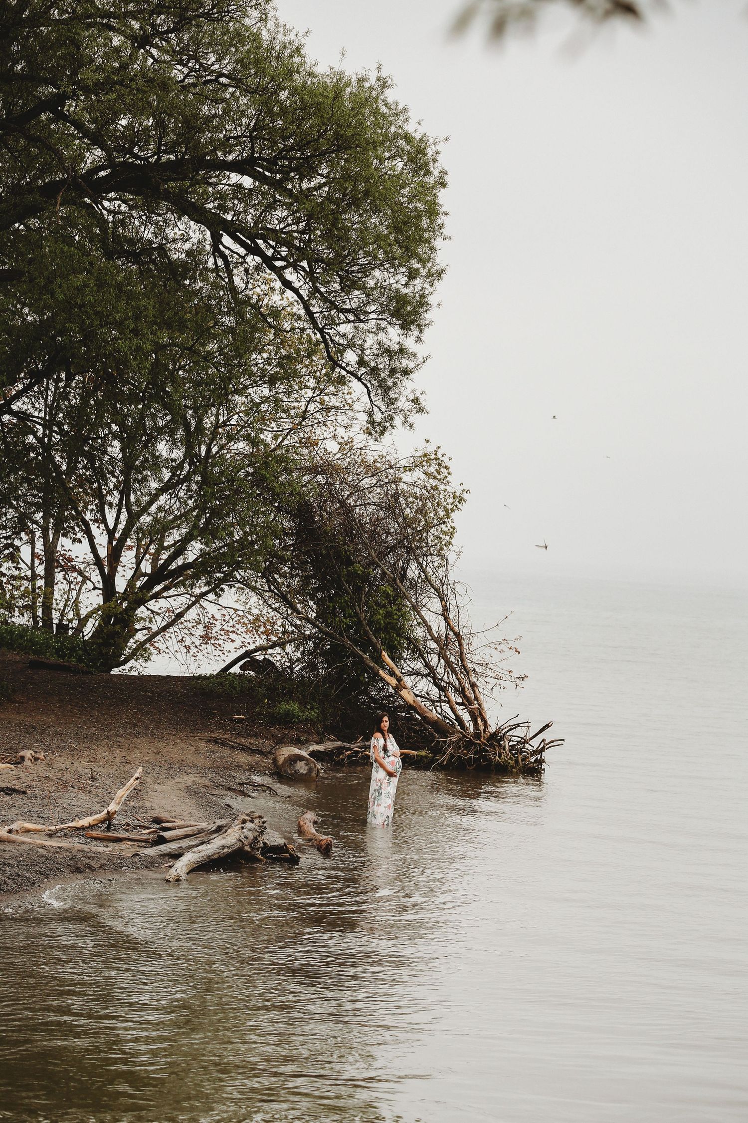 A scenic waterfront view with driftwood and trees along a misty shoreline.