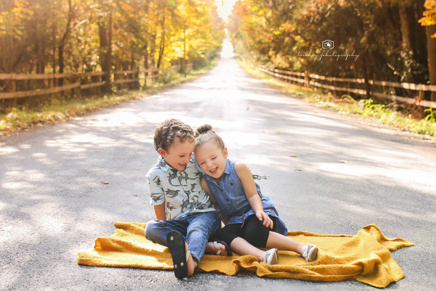 Family photo session on sunlit autumn path with golden yellow blanket.