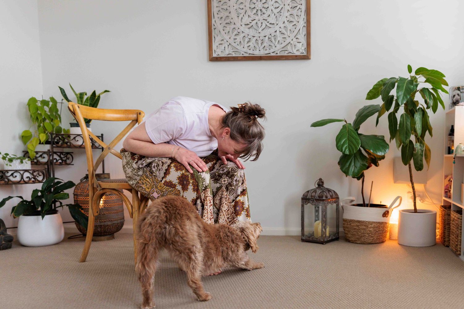 yoga studio with dog demonstrating downward dog