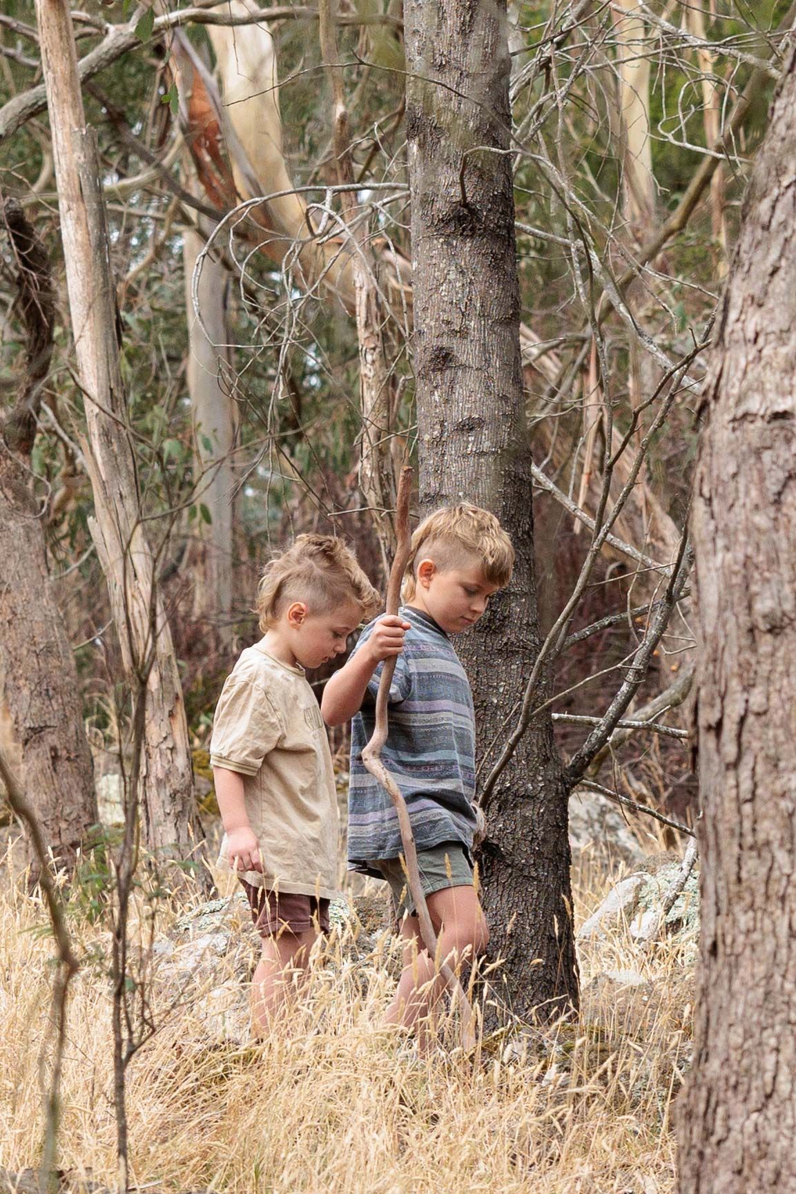 two young boys walking in bush carrying a stick.  Leigh Ball documentary family photographer