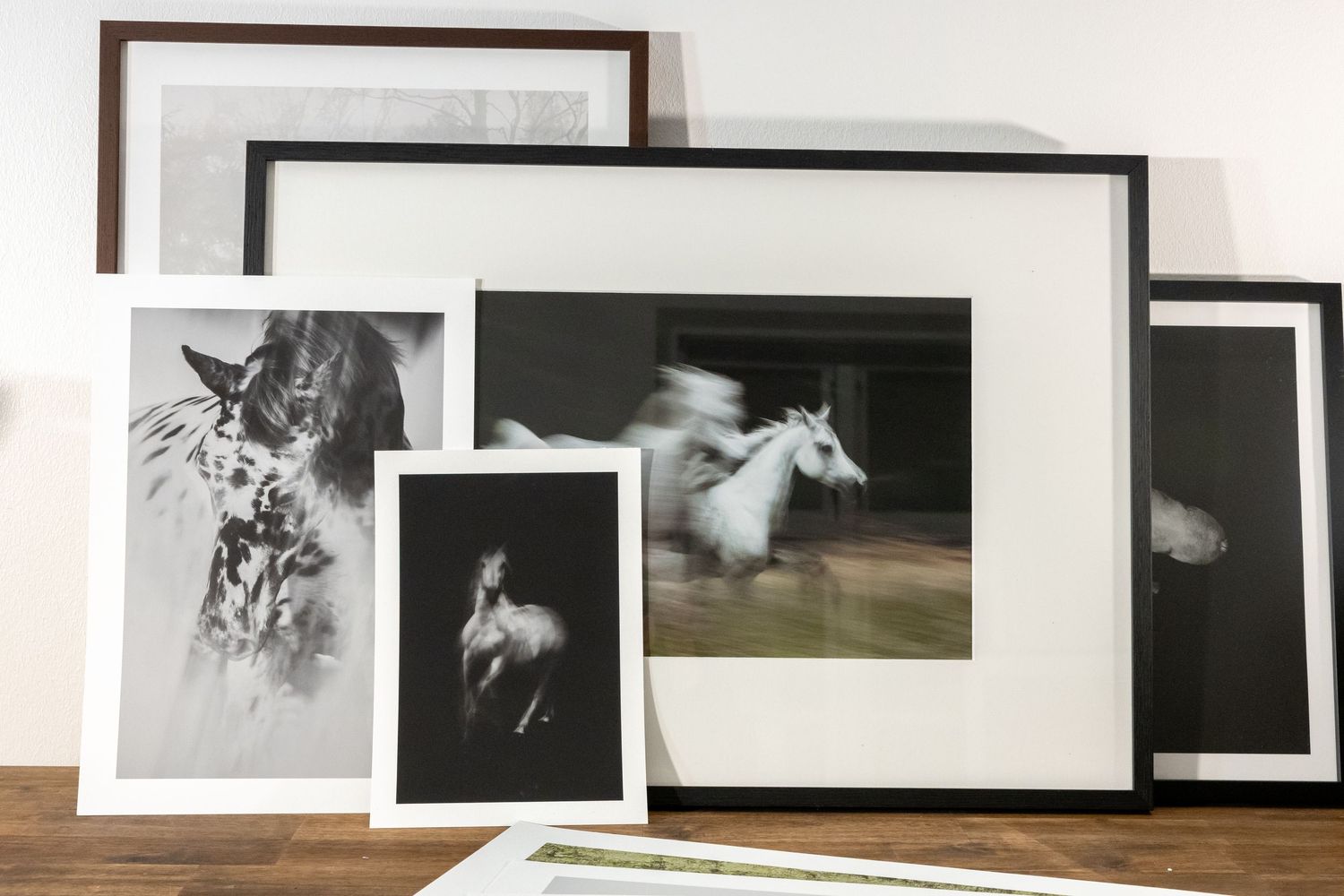 Black and white framed horse photography prints displayed on a wooden surface against a white wall.