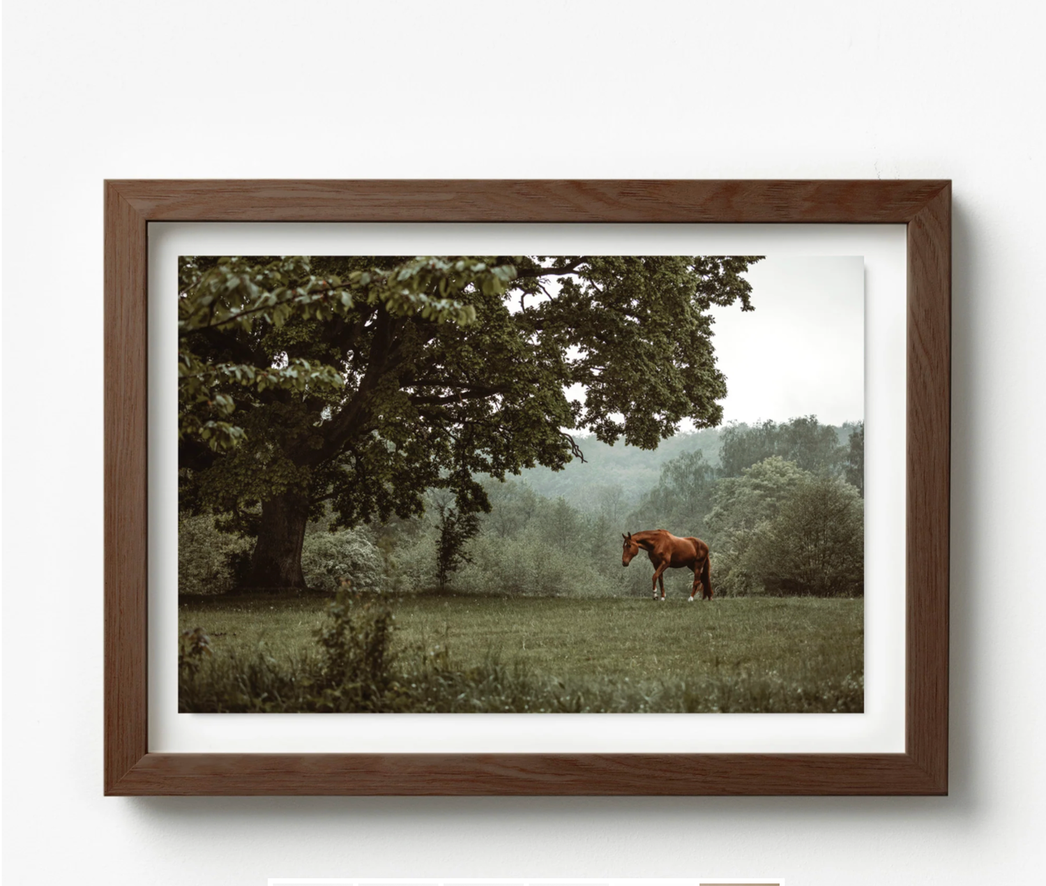 A brown horse grazing in a lush green field beside a large oak tree with misty forest in the background.