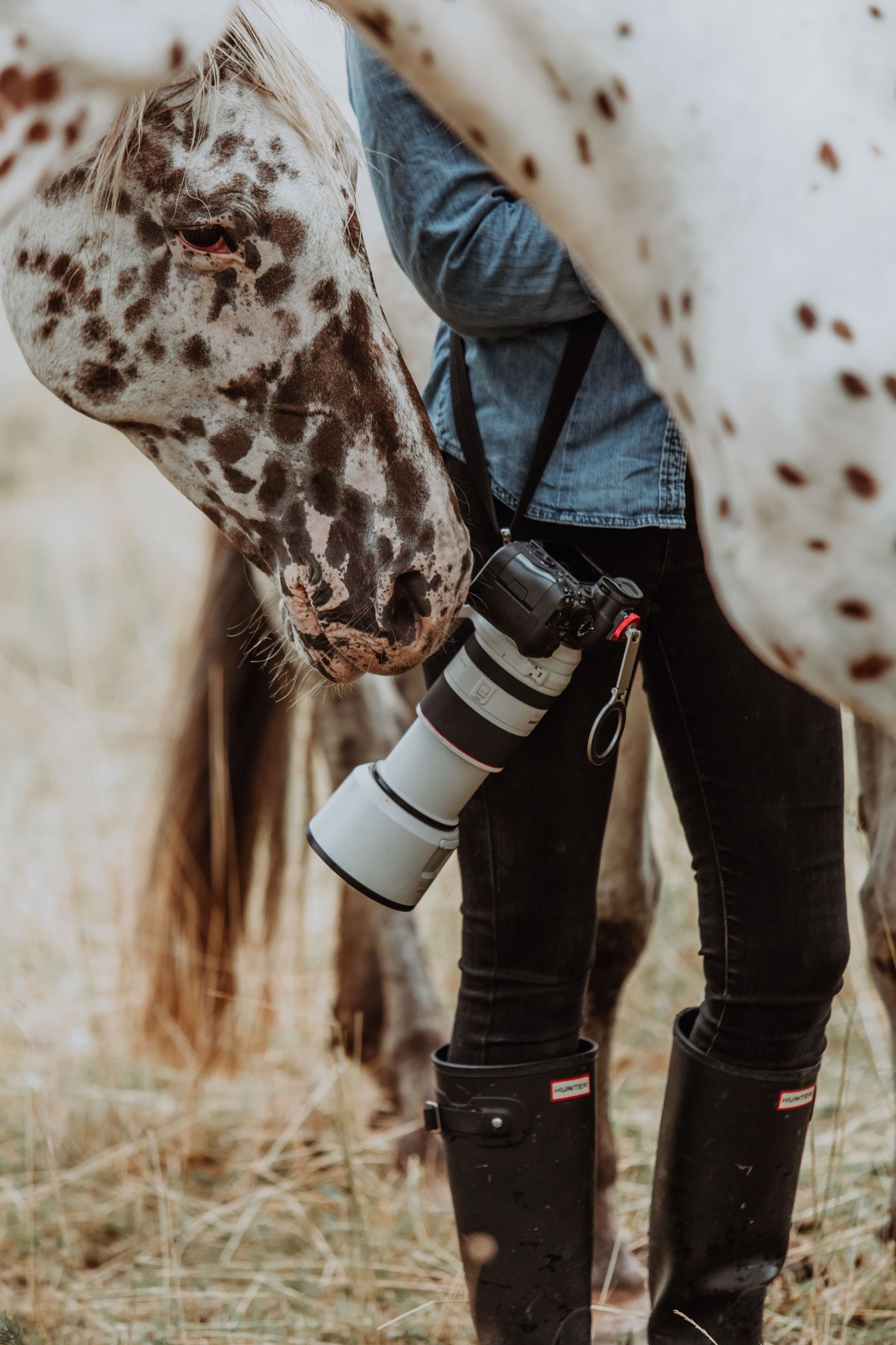 Photographer with Canon telephoto lens camera standing beside a spotted Appaloosa horse in a field.