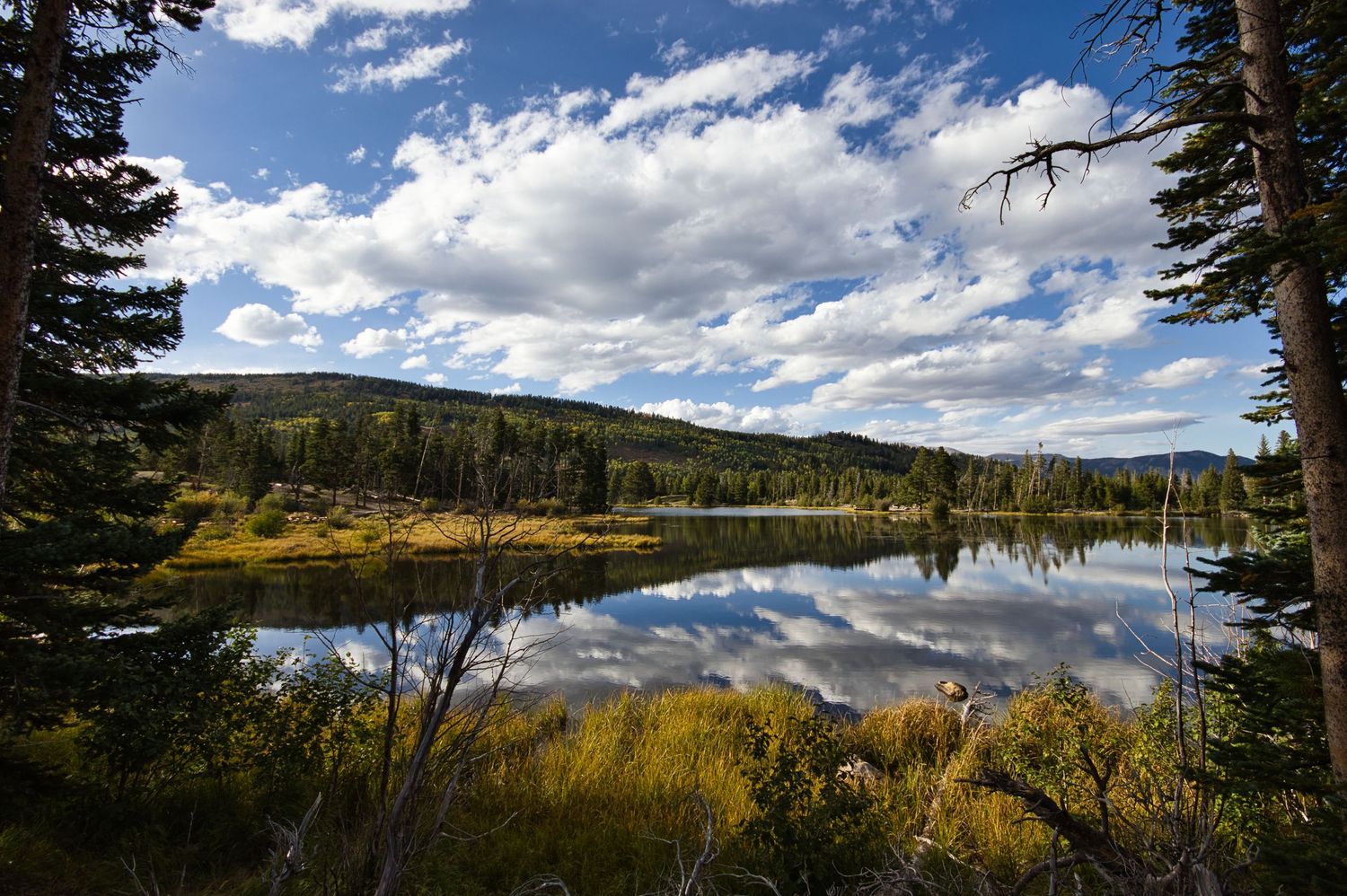 Sprague Lake in the Fall. Pixcapades | The Rocky Mountain Proposal Photographer