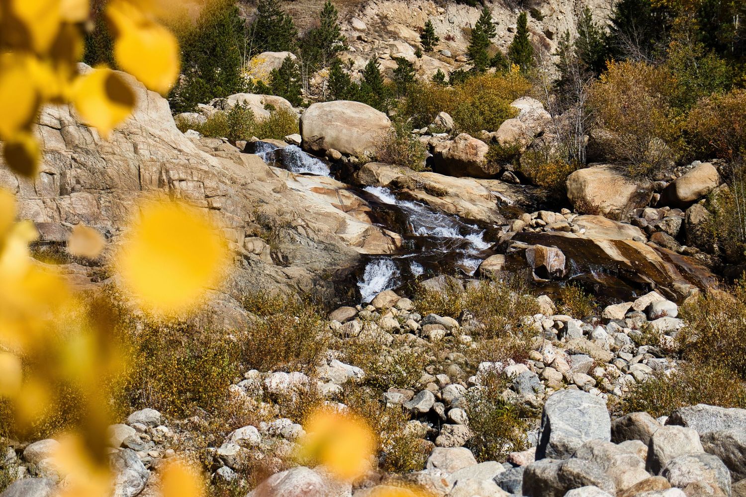 Alluvial Fan through the golden aspen trees in the fall. Pixcapades | The Rocky Mountain Proposal Photographer
