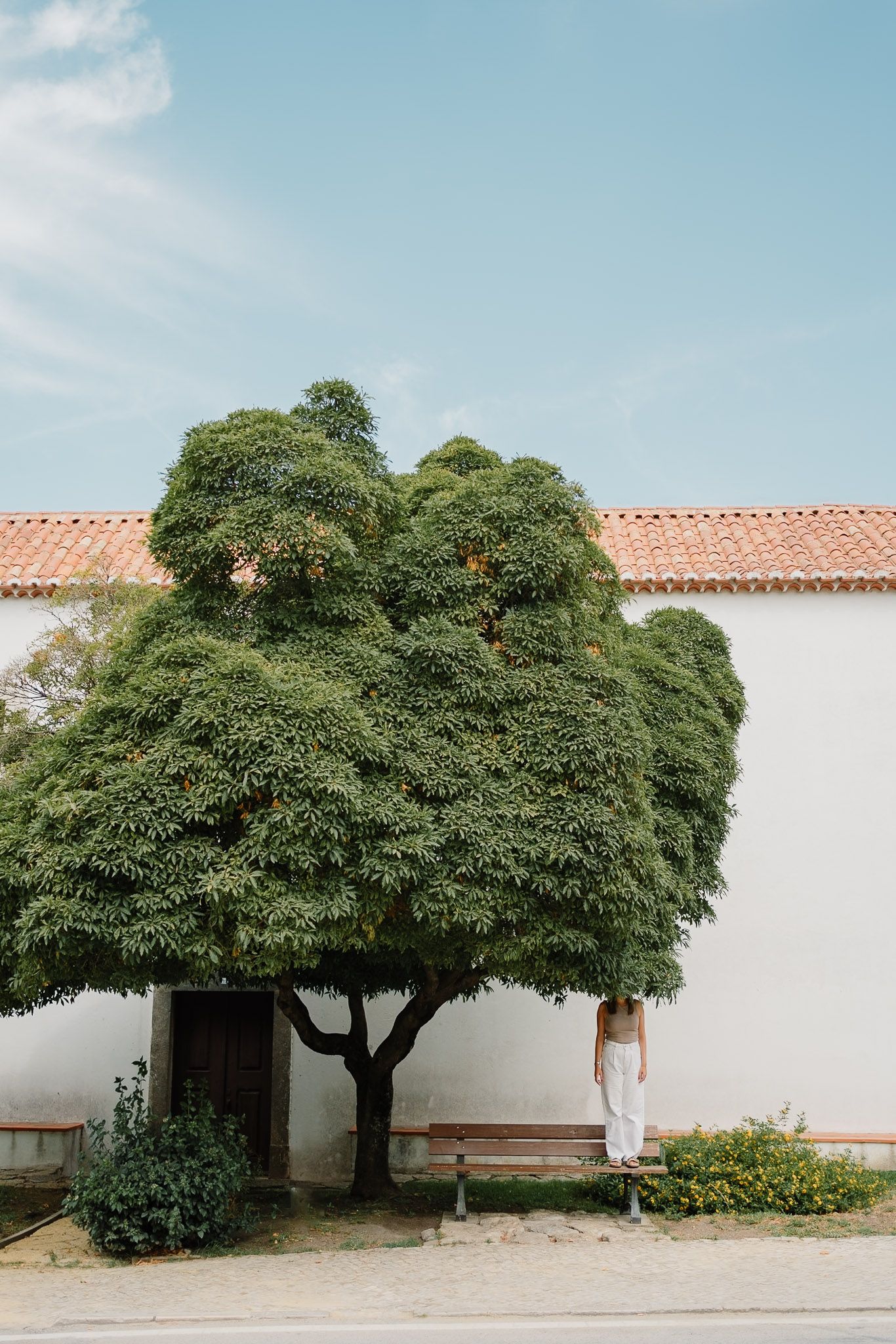Person standing under large tree against white building with red tiled roof.