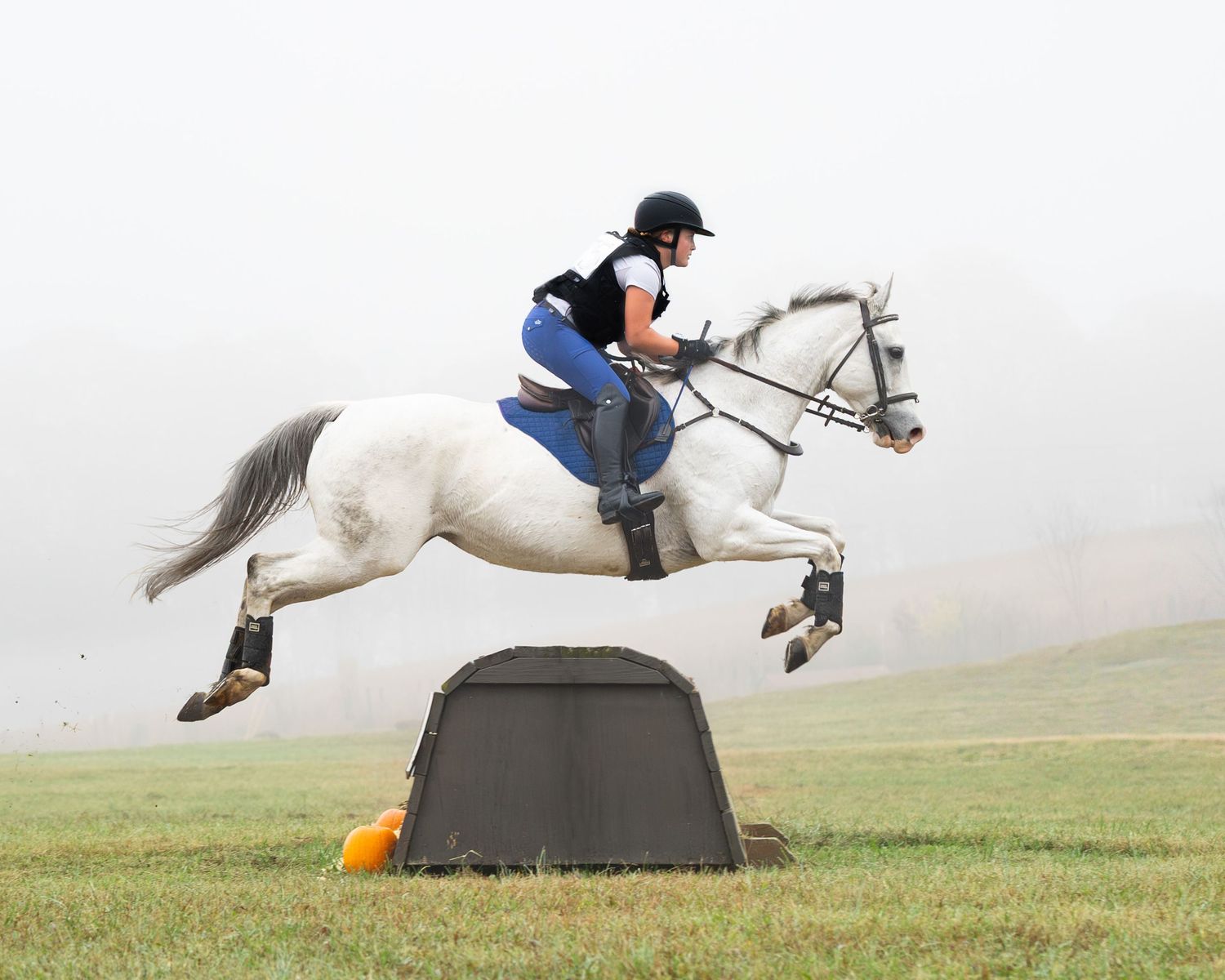 Horse and rider perform a dramatic jump over an obstacle in a misty field during equestrian competition.