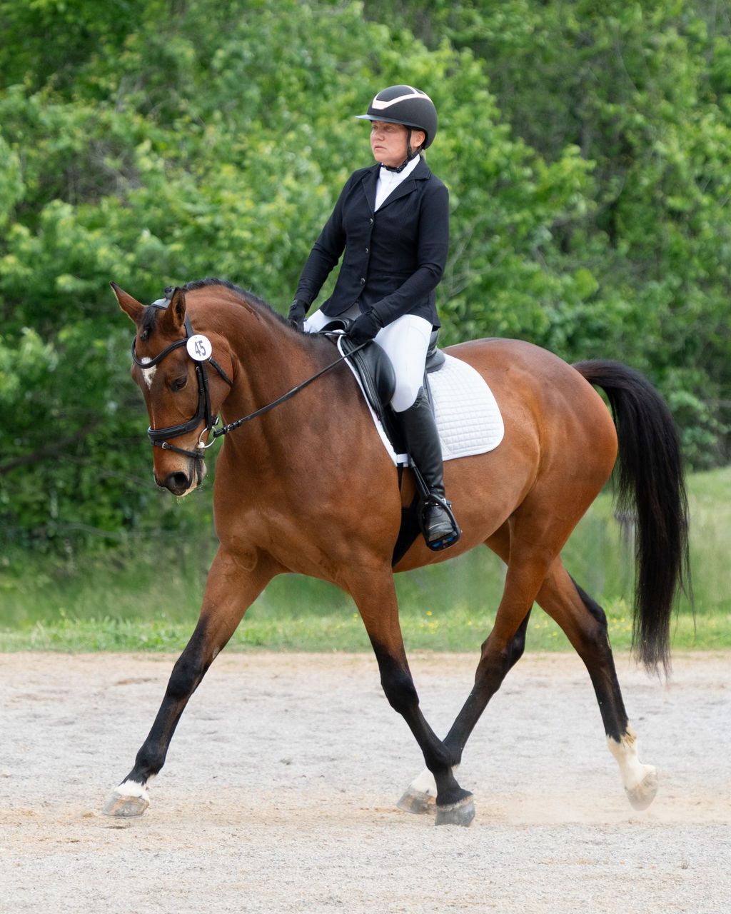 Equestrian in formal dressage attire rides a chestnut bay horse in an outdoor arena.
