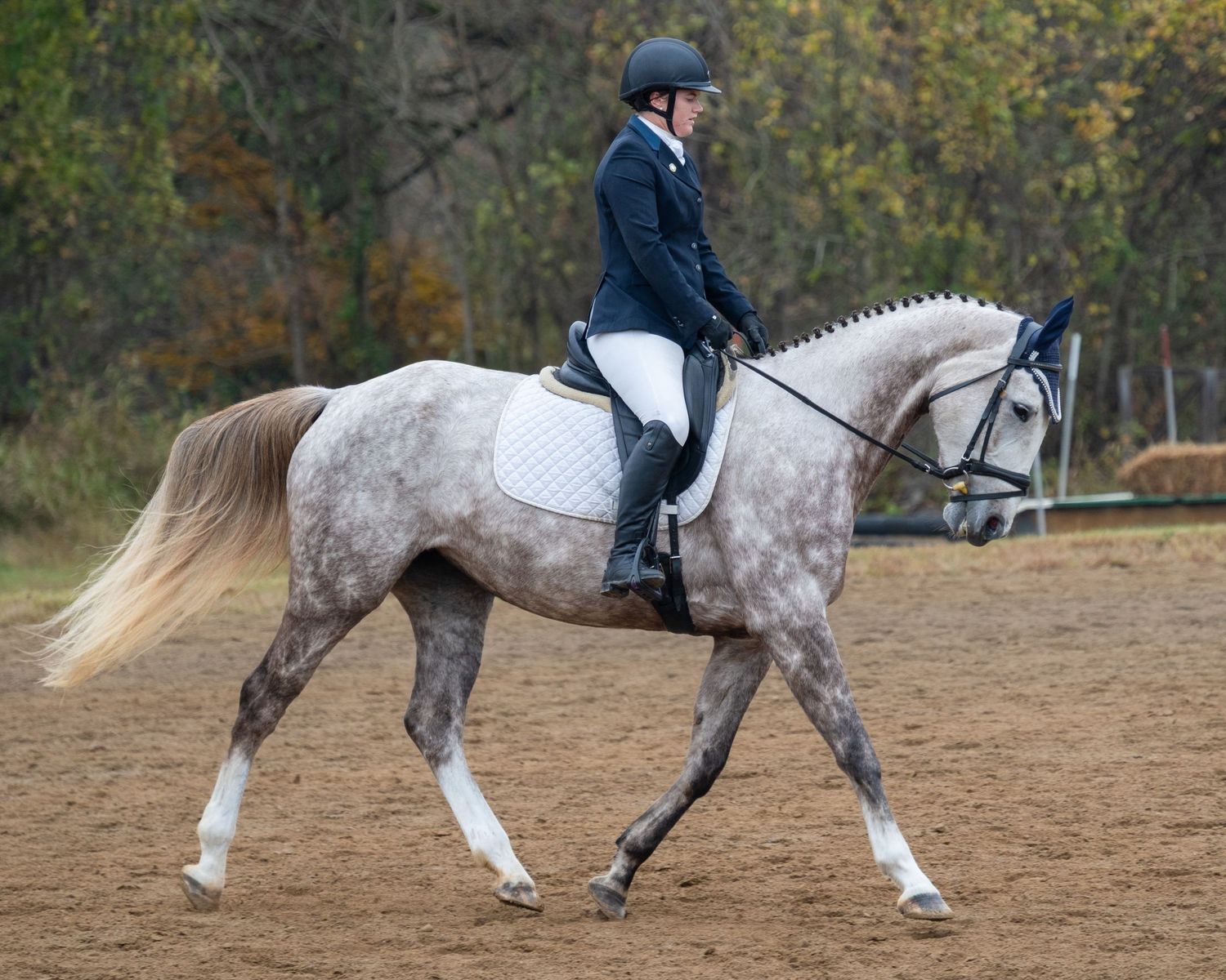 A rider in formal equestrian attire guides a dappled gray horse through a sequence of movements in a sandy arena.