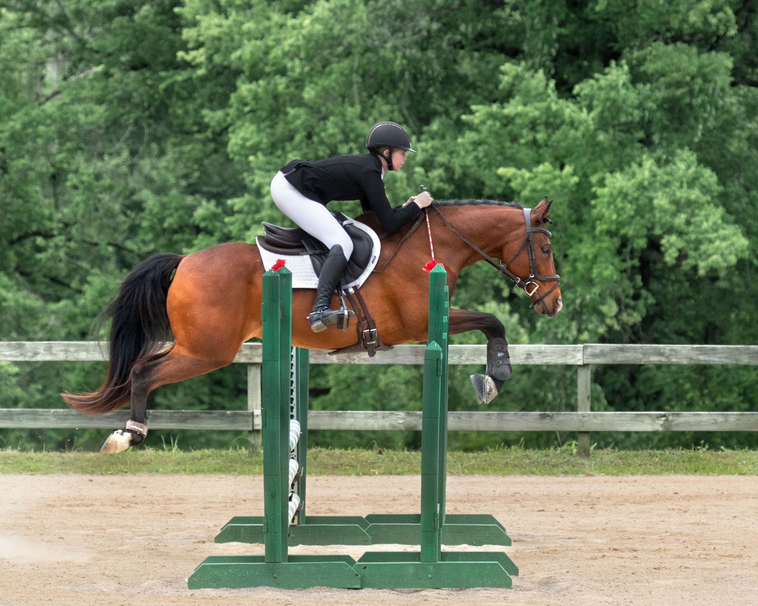 Equestrian and chestnut horse clearing a green jump obstacle during show jumping competition.