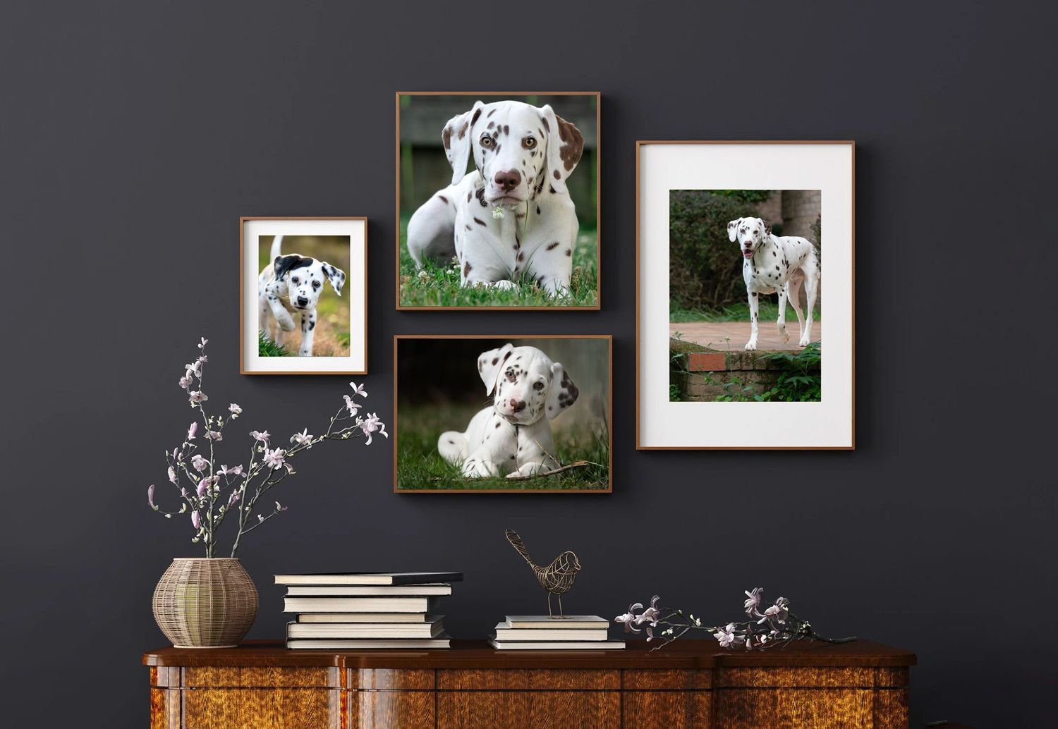 Four framed Dalmatian dog photos displayed as a gallery wall above a wooden dresser with books and a vase.