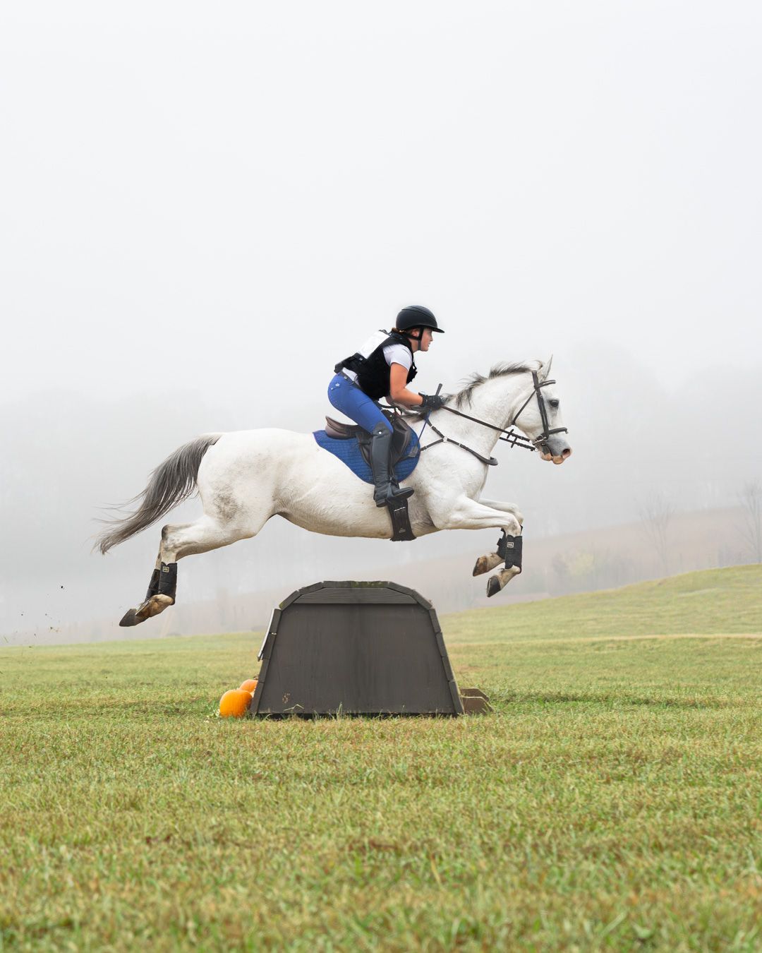 A white horse and rider leap over a black obstacle on a grassy field in a sequence of action shots.