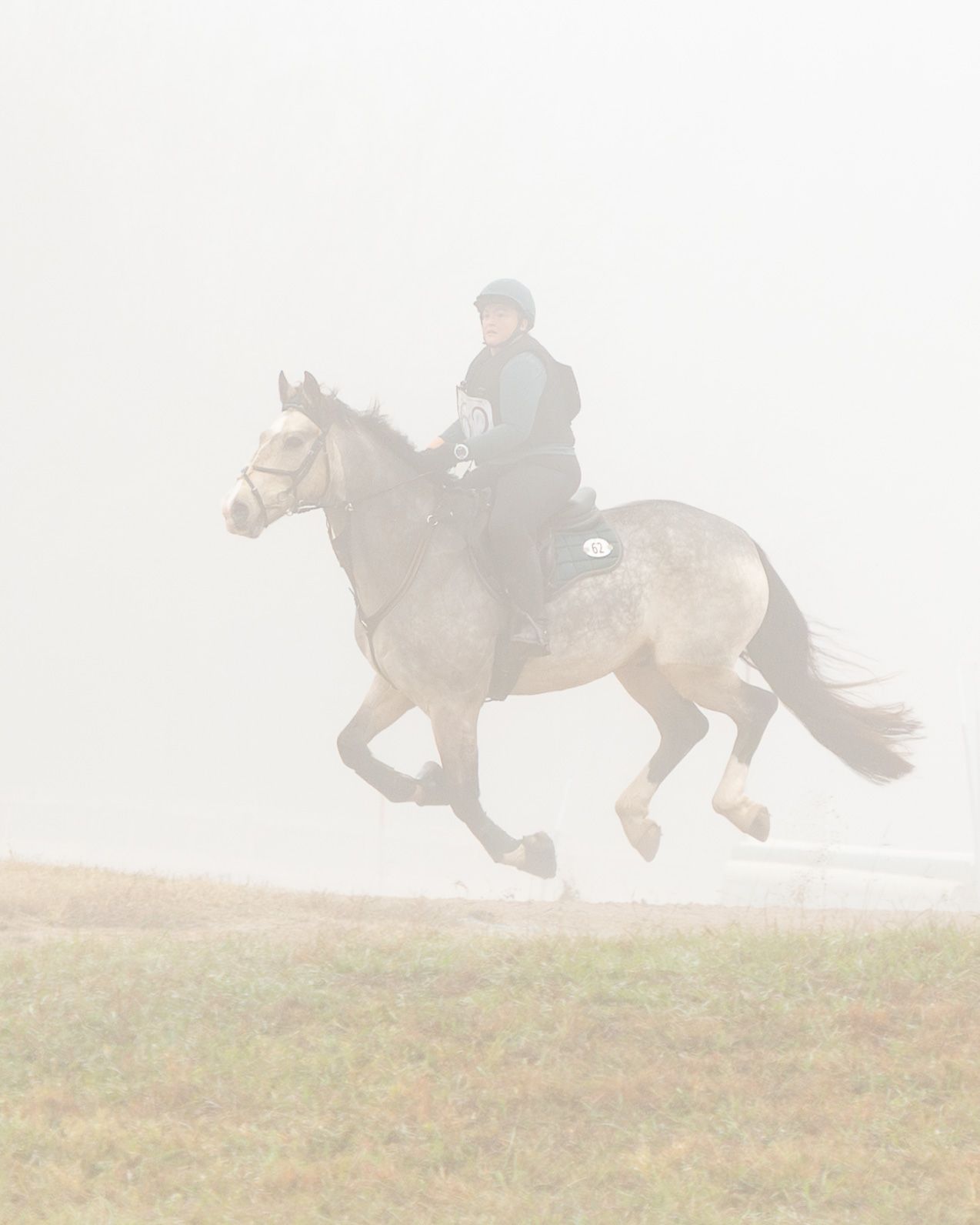 A sequence of four action shots showing a horse and rider jumping over a hill in silhouette against a misty sky.