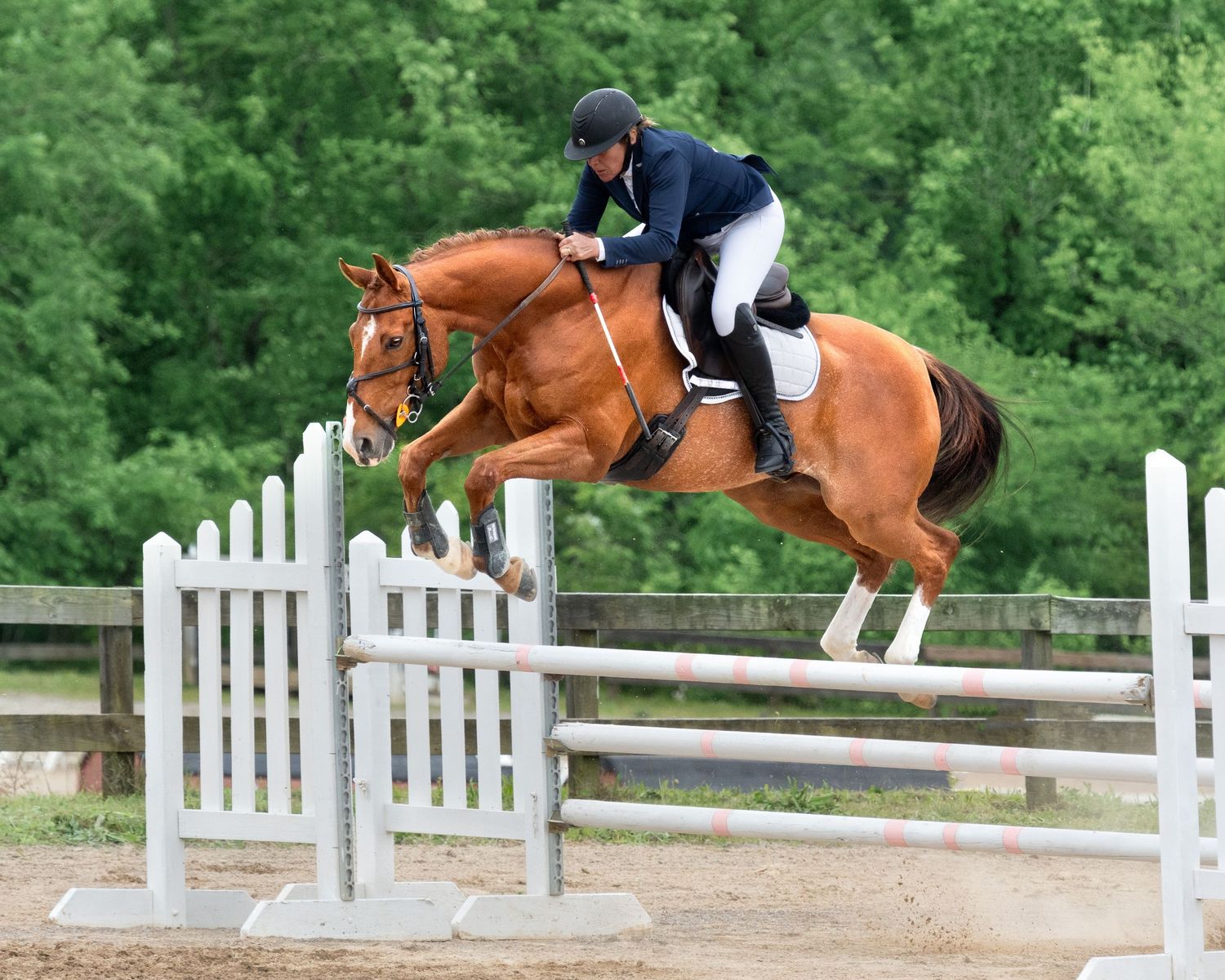 A chestnut horse and rider clearing a white show jumping fence in an outdoor arena surrounded by trees.