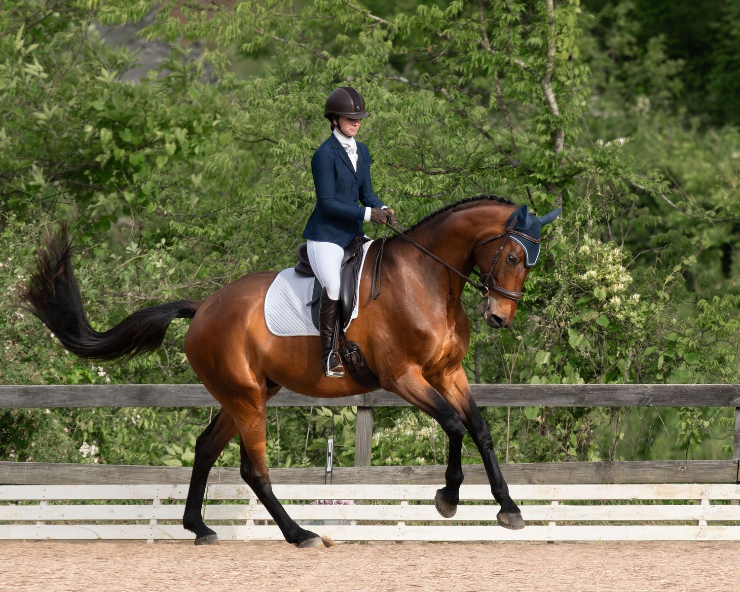 A rider in formal equestrian attire guides a bay horse through a dressage sequence in an outdoor arena.