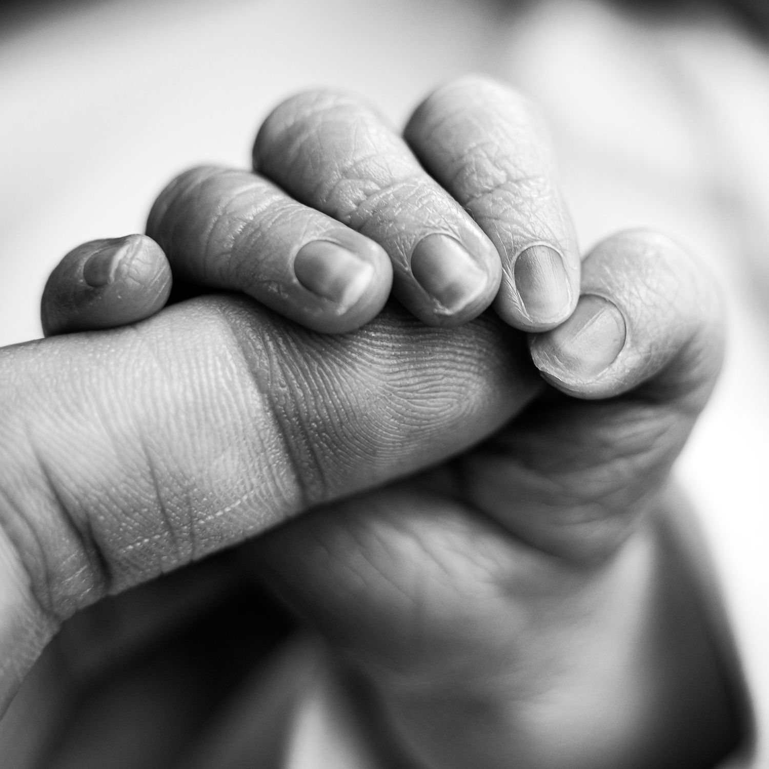 Black and white image of tiny newborn hand holding adult finger.