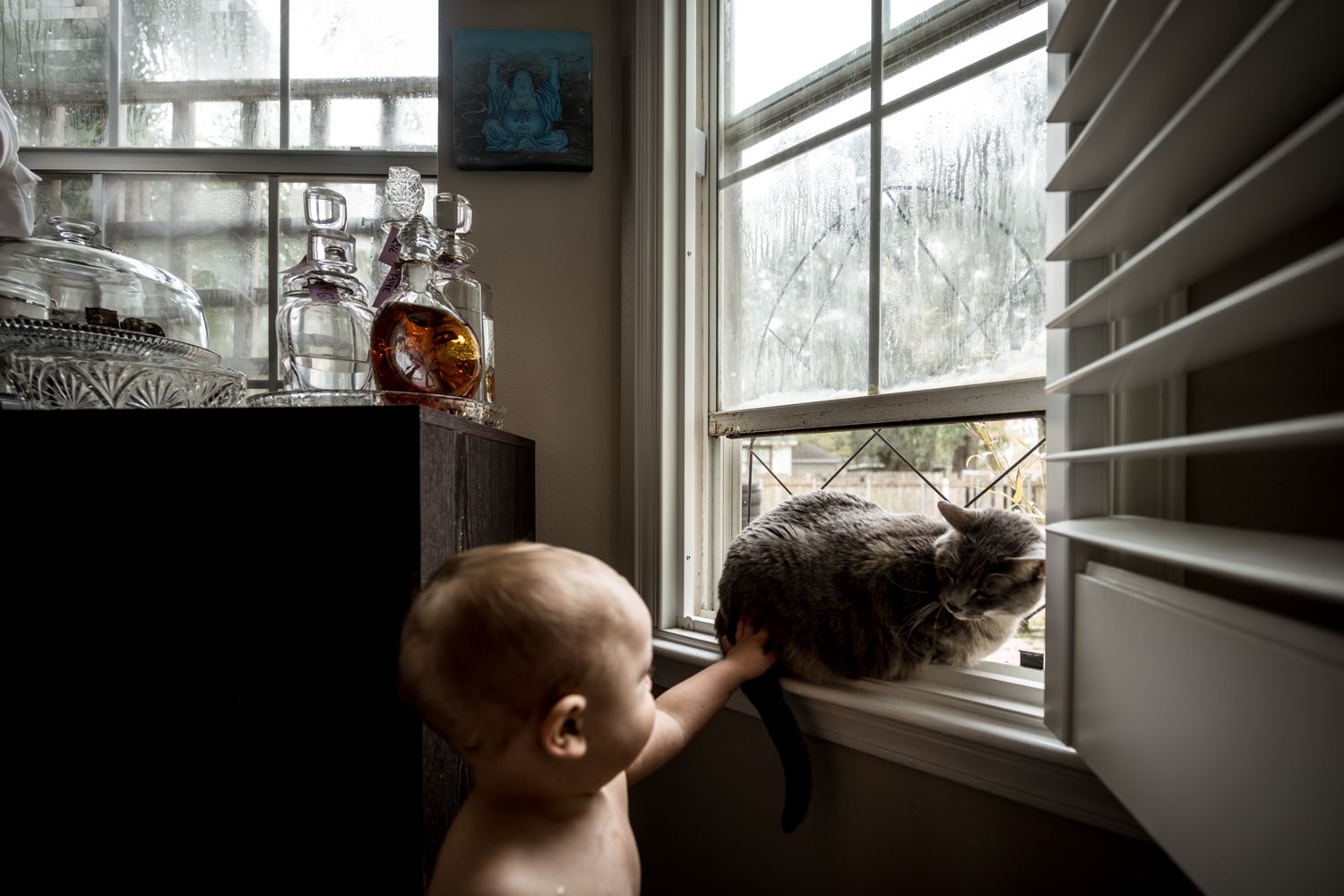 Baby reaching towards cat sitting in window sill with blinds.