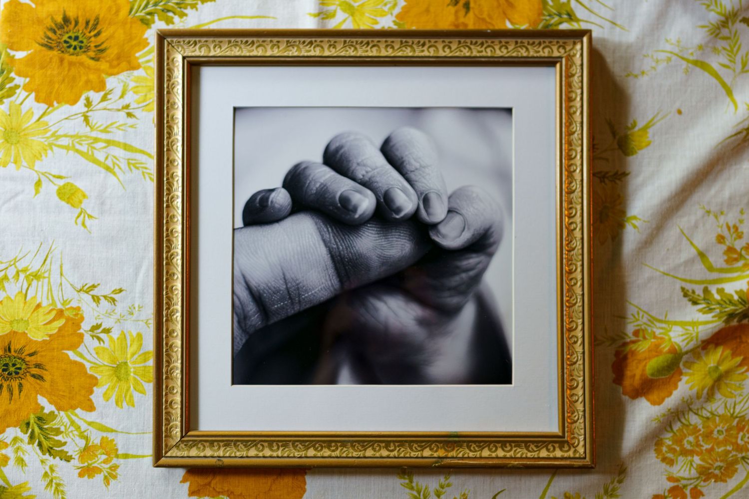 A series of gold-framed photographs hang on a yellow floral wallpapered wall creating an artistic gallery display.