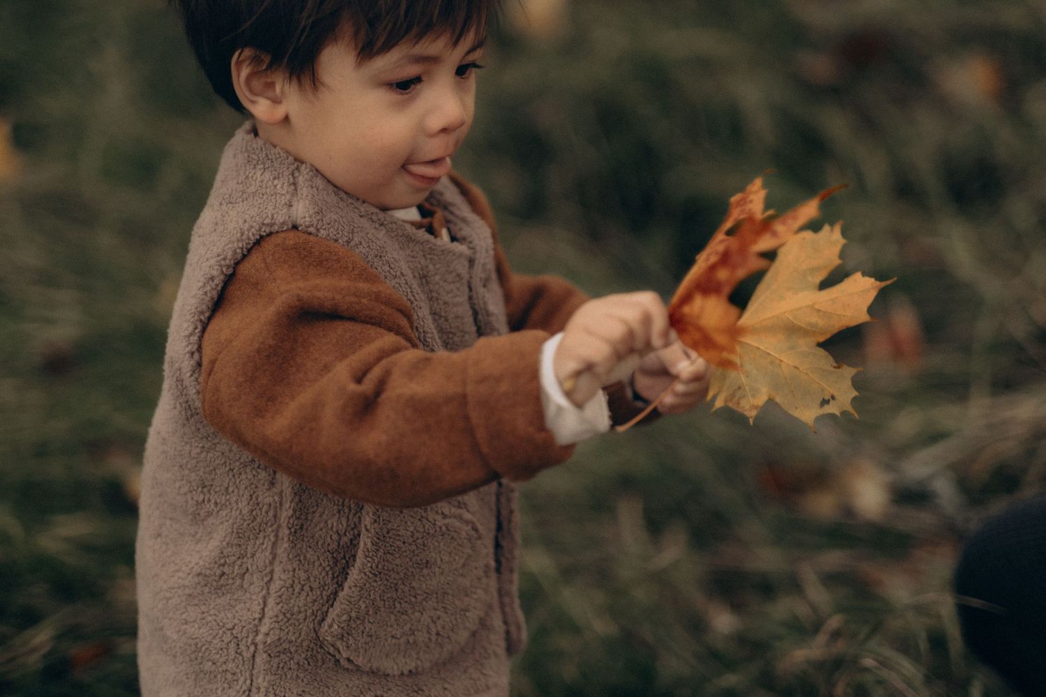 small boy holding autumn leaves while being captured by a family photographer in Stockholm with relaxed candid style