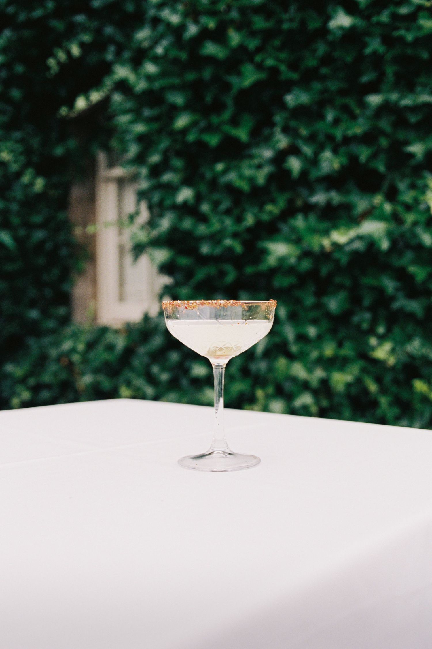 Cocktail glasses with frosted rims sit on a white surface against a lush green hedge backdrop.